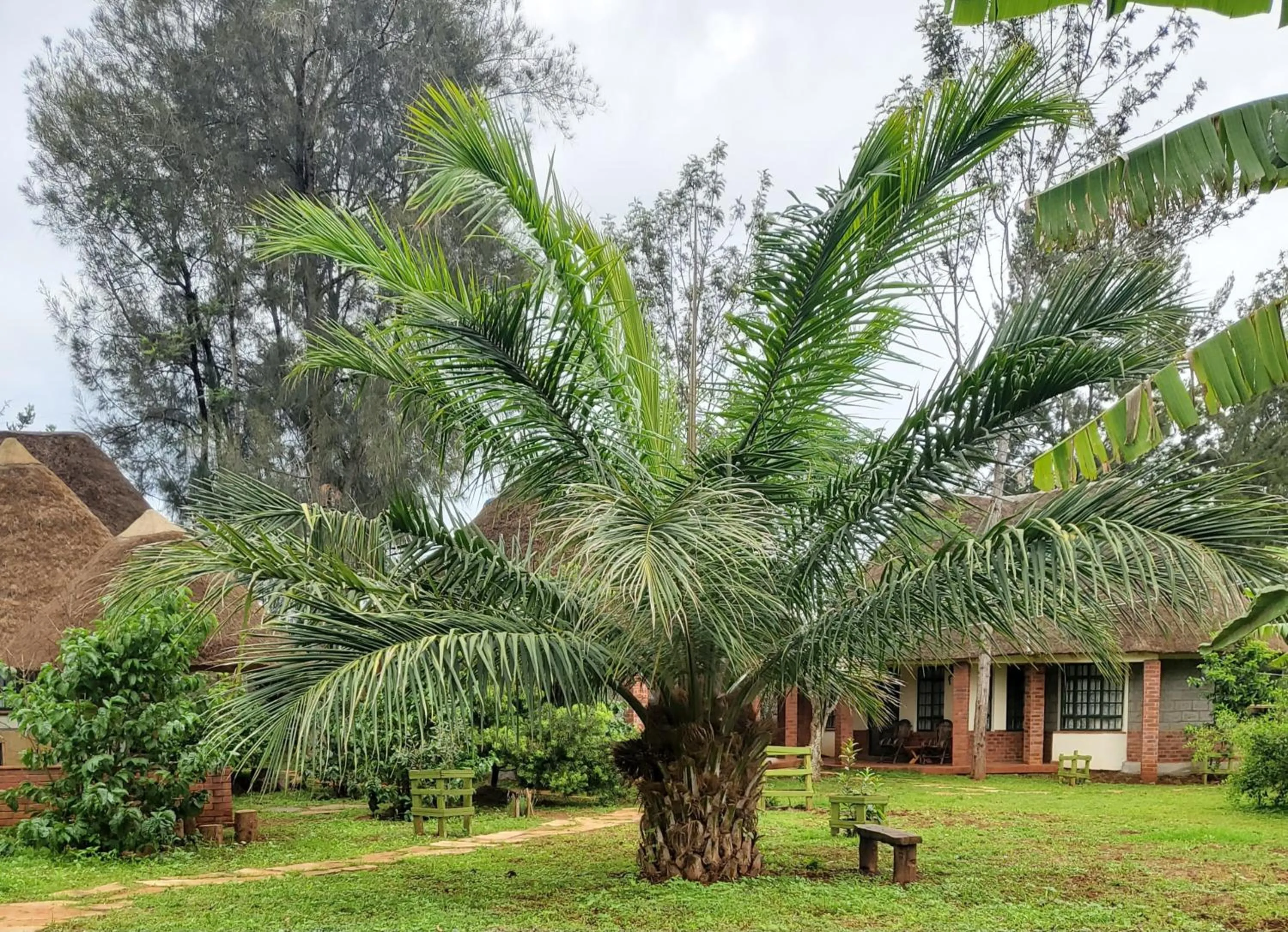 Garden view in Edaala Comfort - B&B