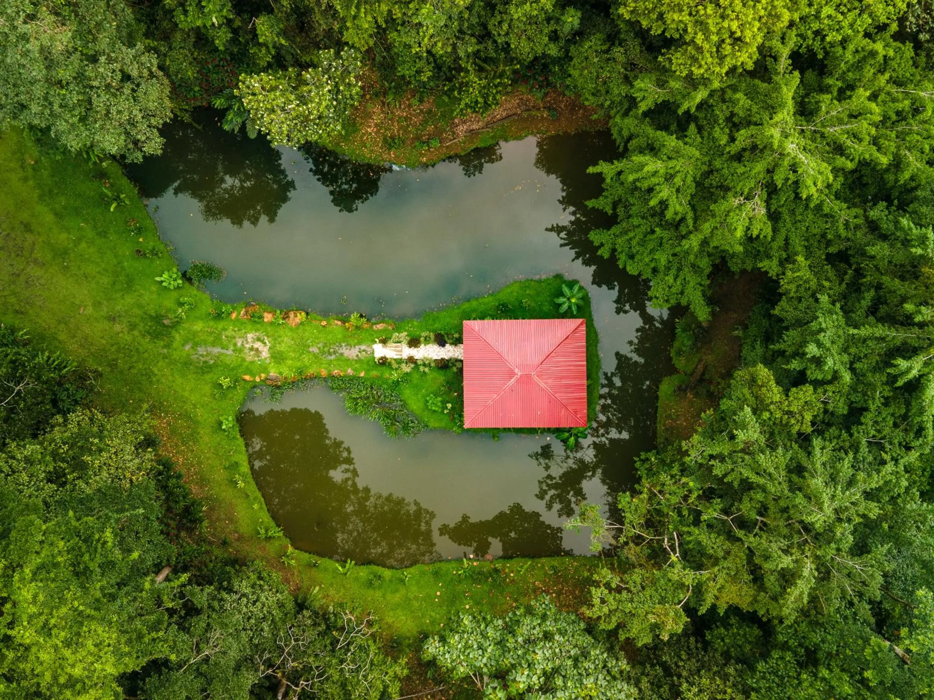 Lake view in Ara Ambigua Lodge