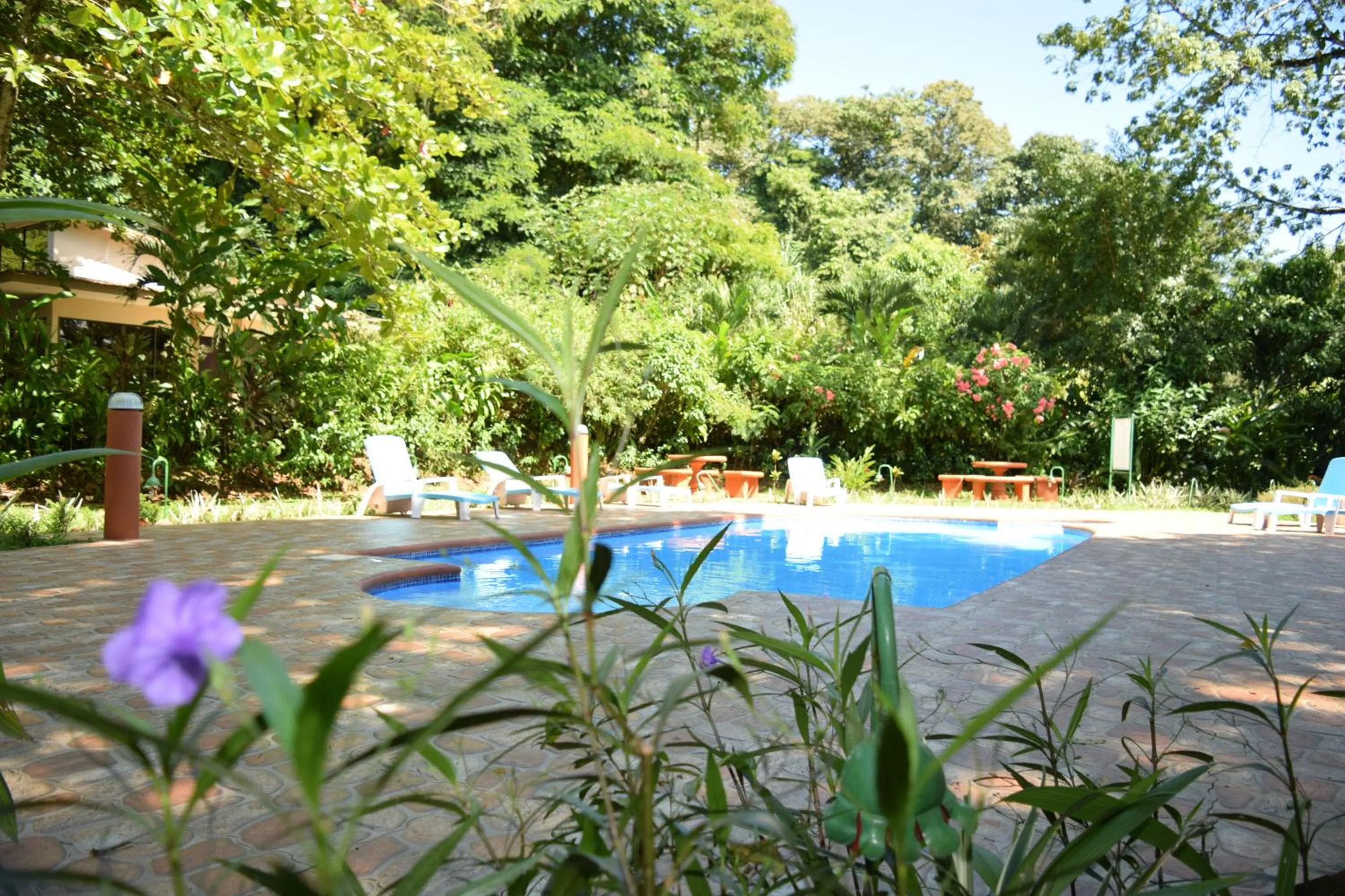 Garden view in Ara Ambigua Lodge