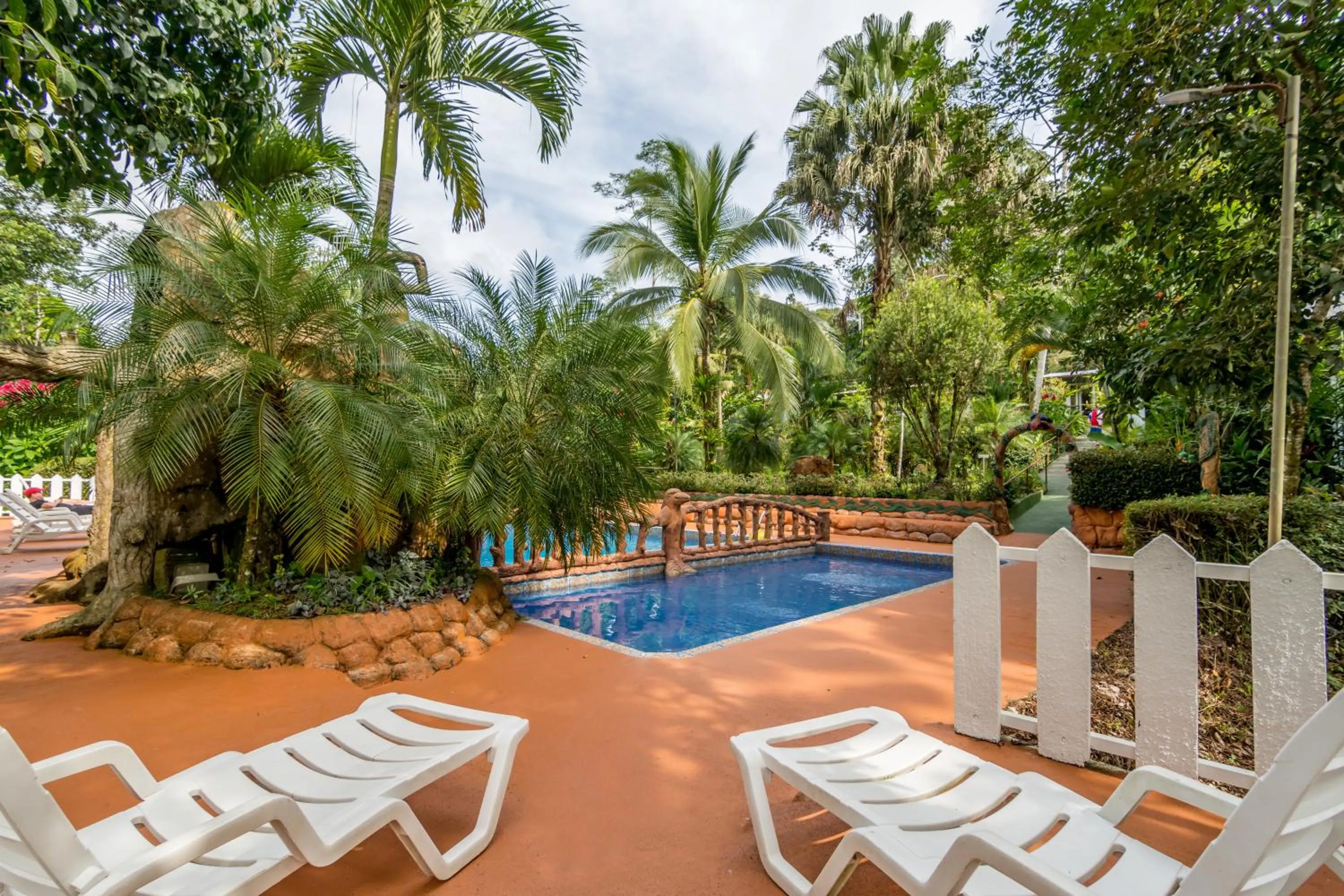 Swimming pool in Ara Ambigua Lodge
