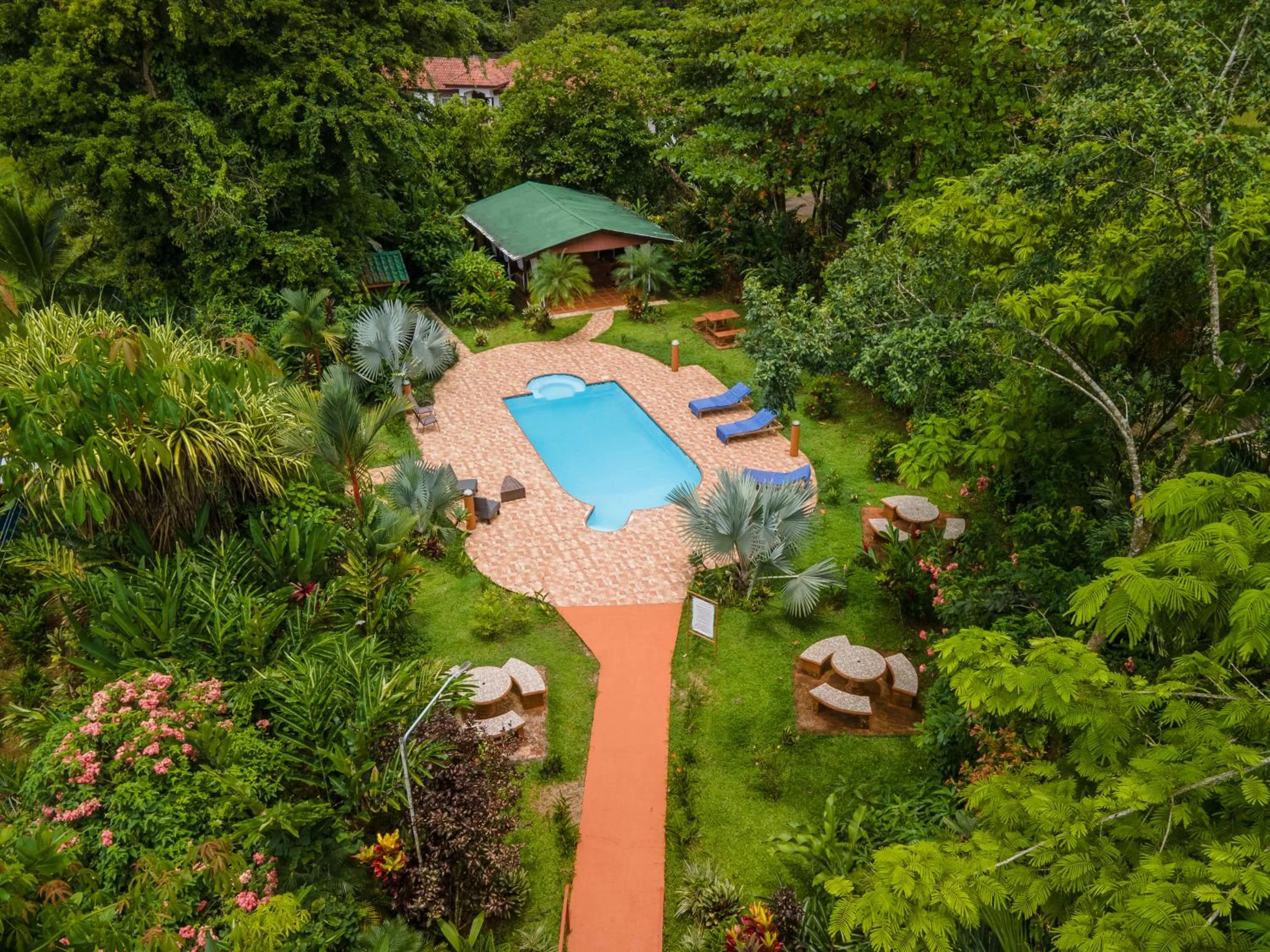 Swimming pool in Ara Ambigua Lodge