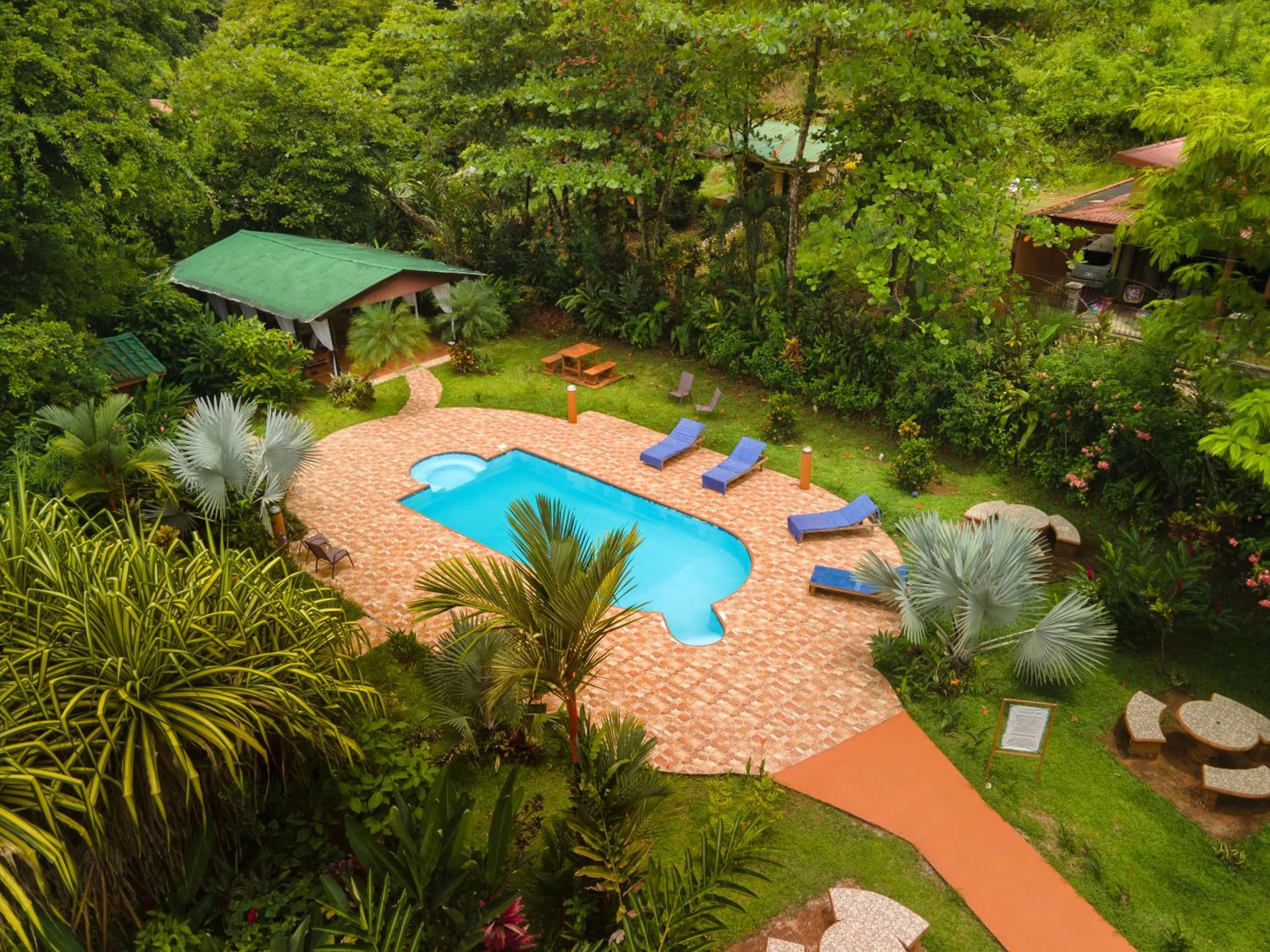 Swimming pool in Ara Ambigua Lodge
