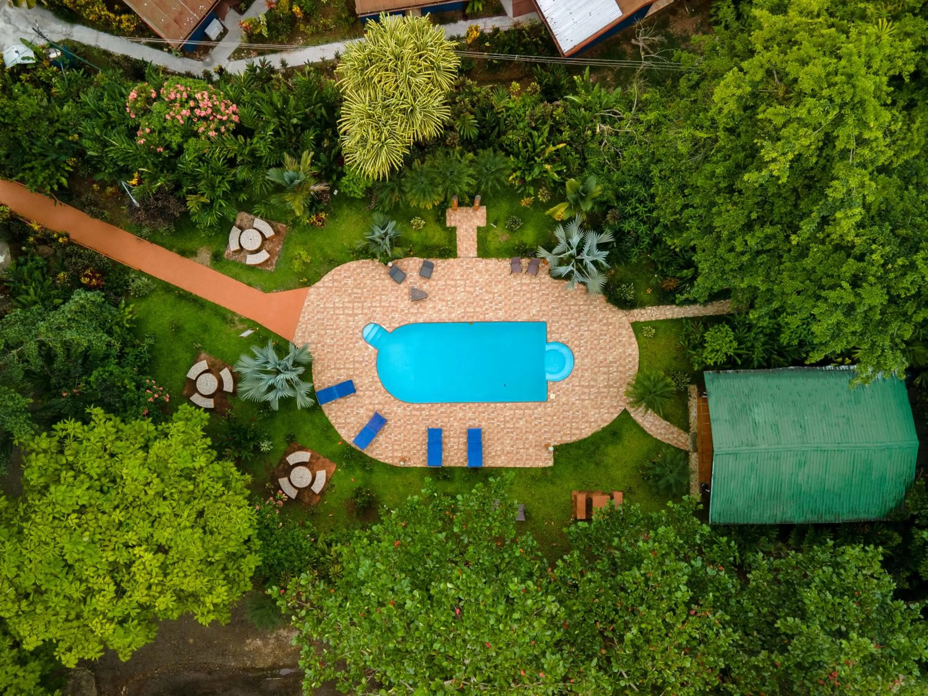 Swimming pool in Ara Ambigua Lodge