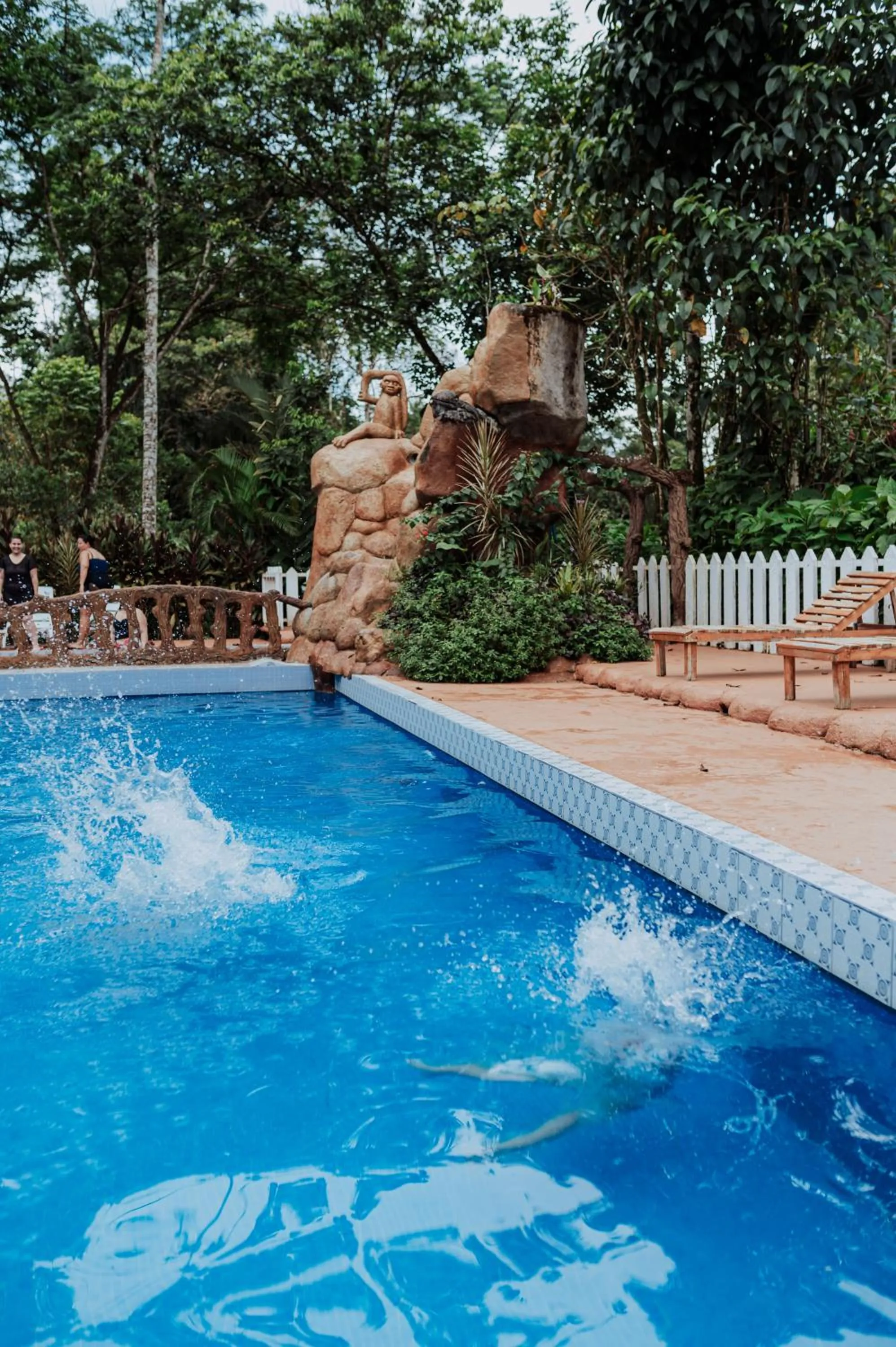 Swimming pool in Ara Ambigua Lodge