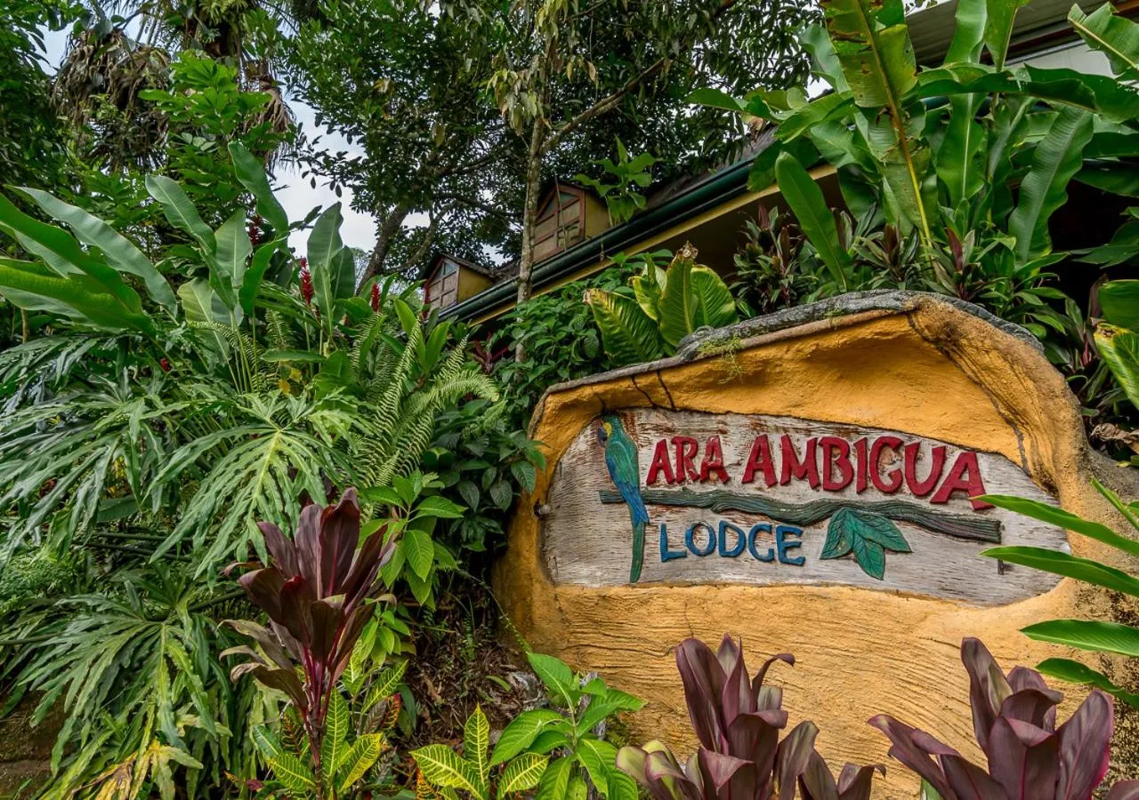 Property building in Ara Ambigua Lodge