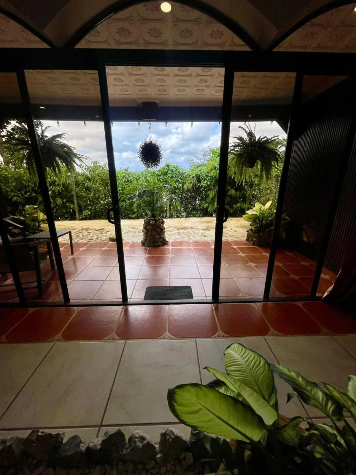 View (from property/room) in Ara Ambigua Lodge
