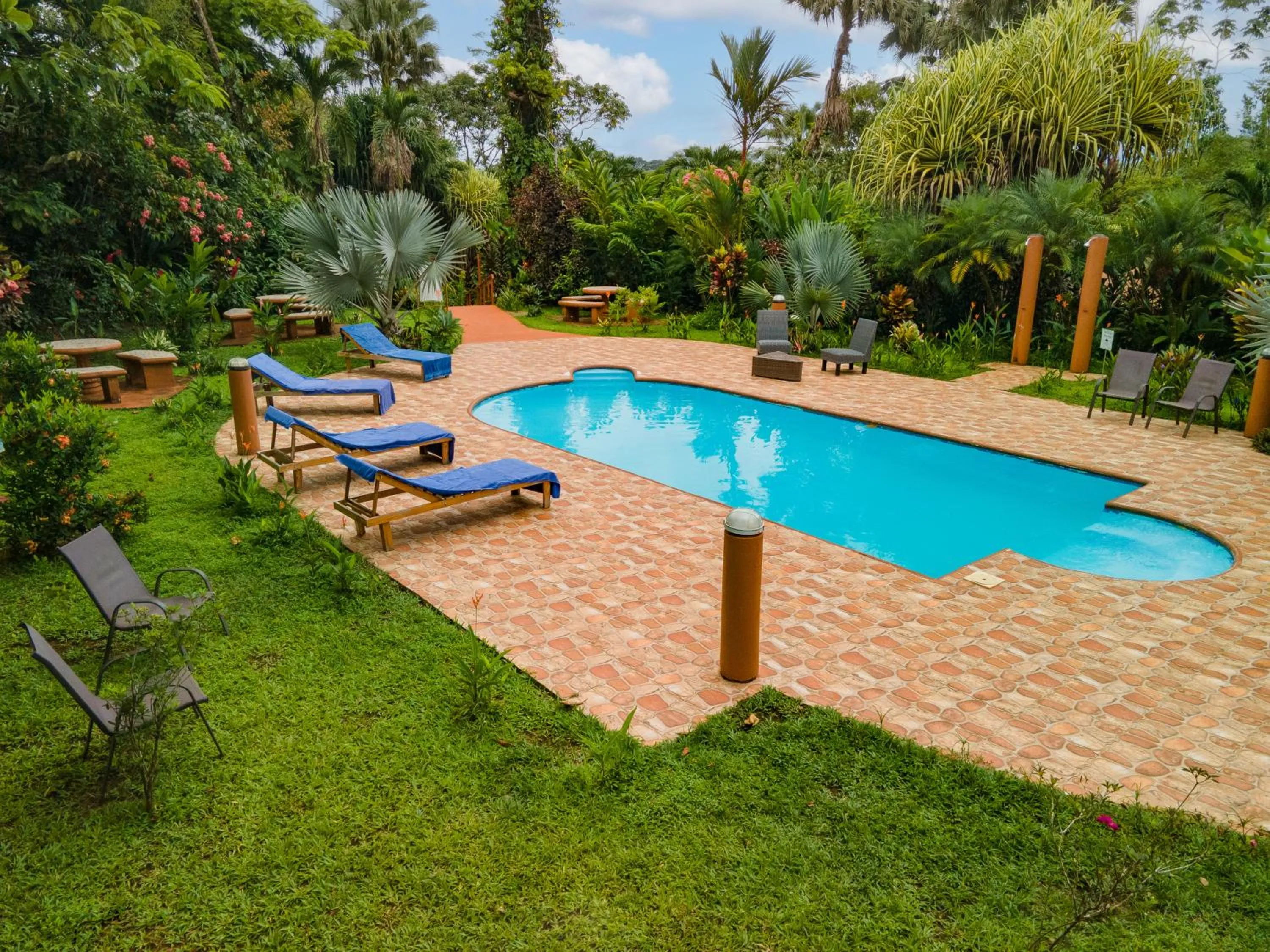 Swimming pool in Ara Ambigua Lodge