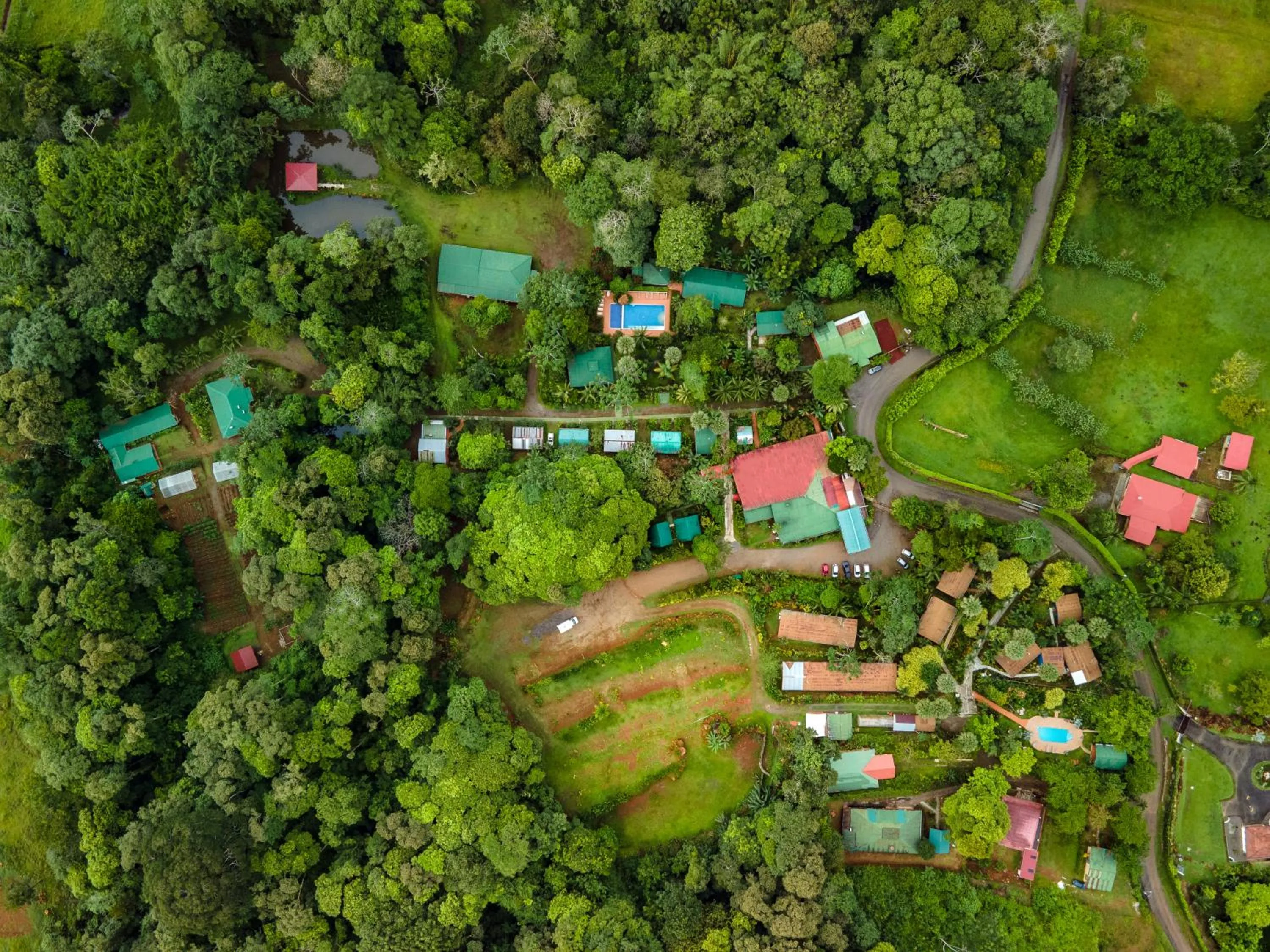 Bird's eye view in Ara Ambigua Lodge