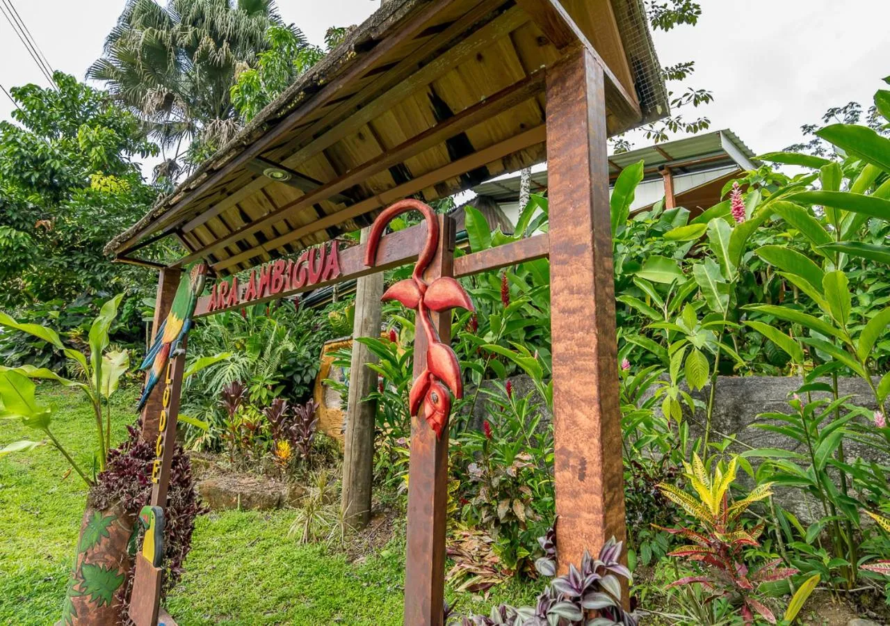 Property building in Ara Ambigua Lodge