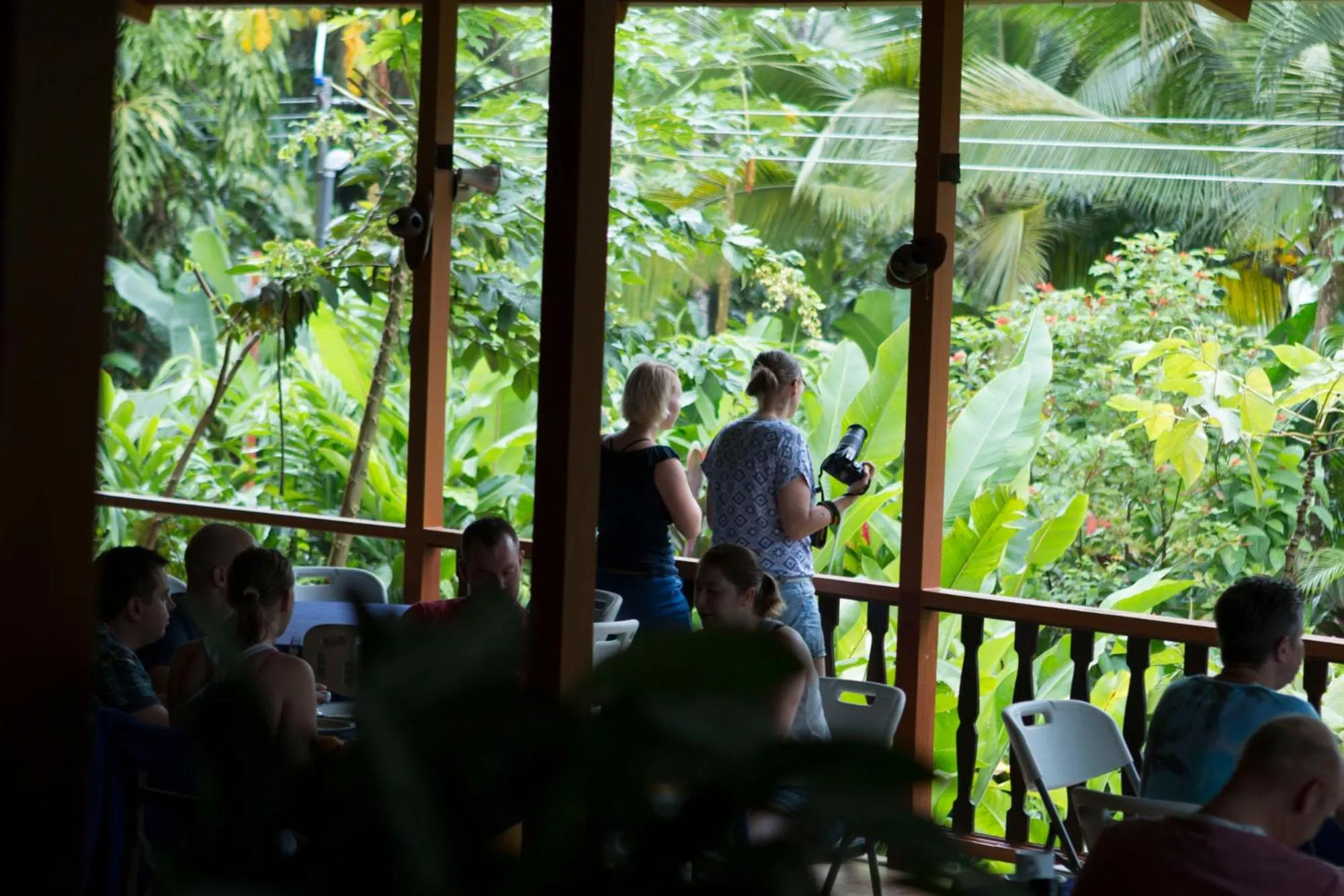 Restaurant/places to eat in Ara Ambigua Lodge