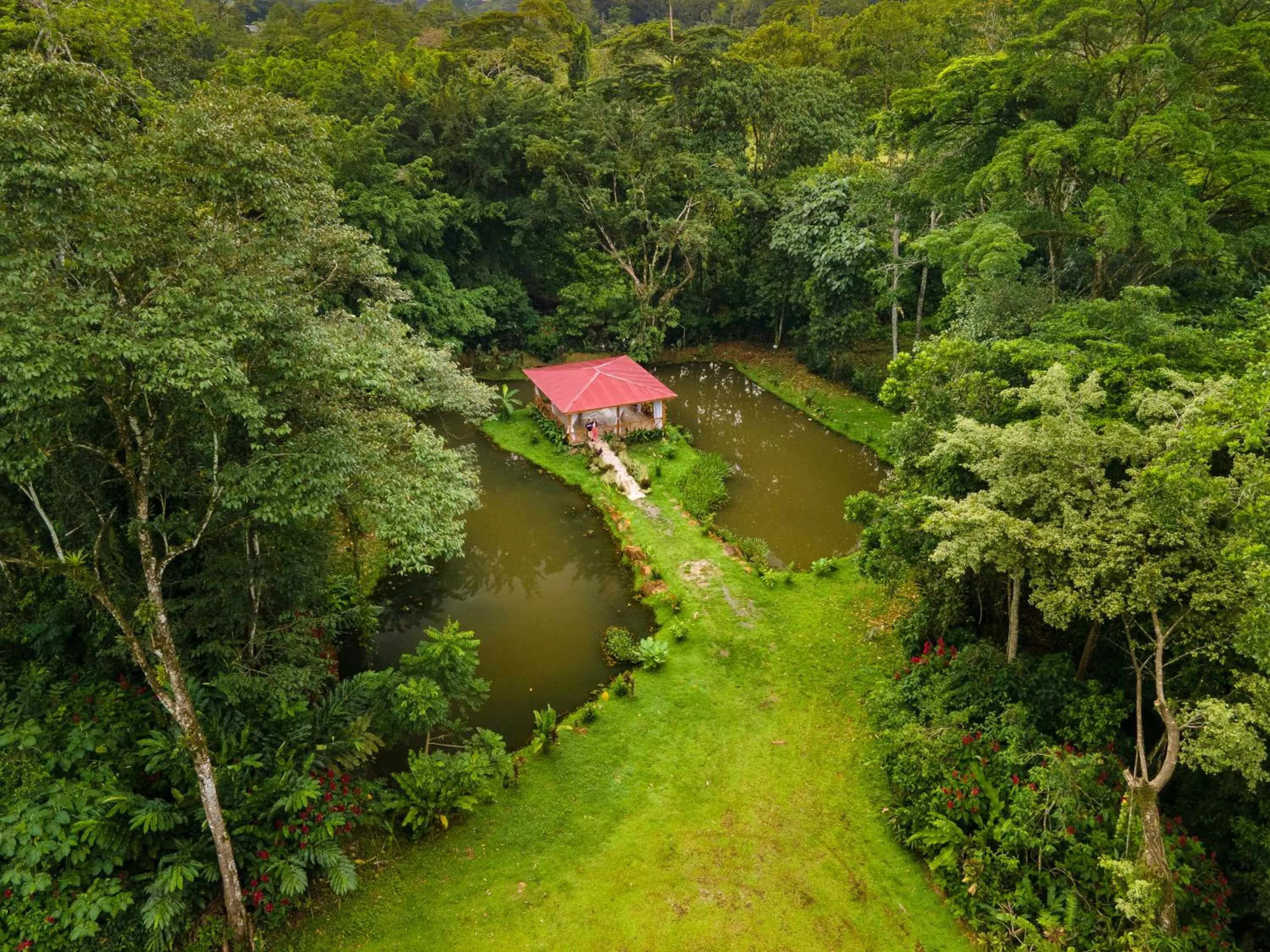 Garden in Ara Ambigua Lodge