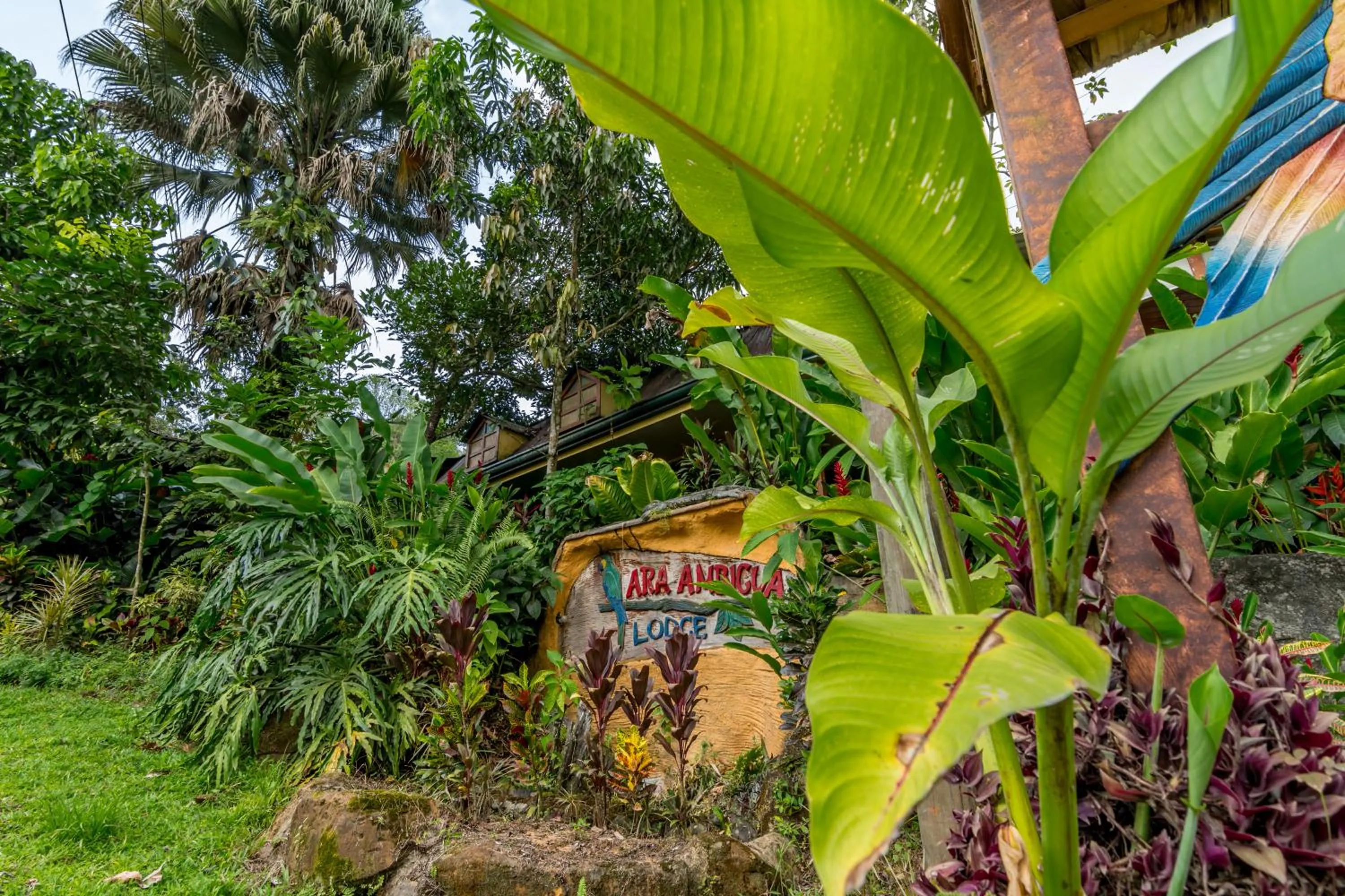 Garden in Ara Ambigua Lodge