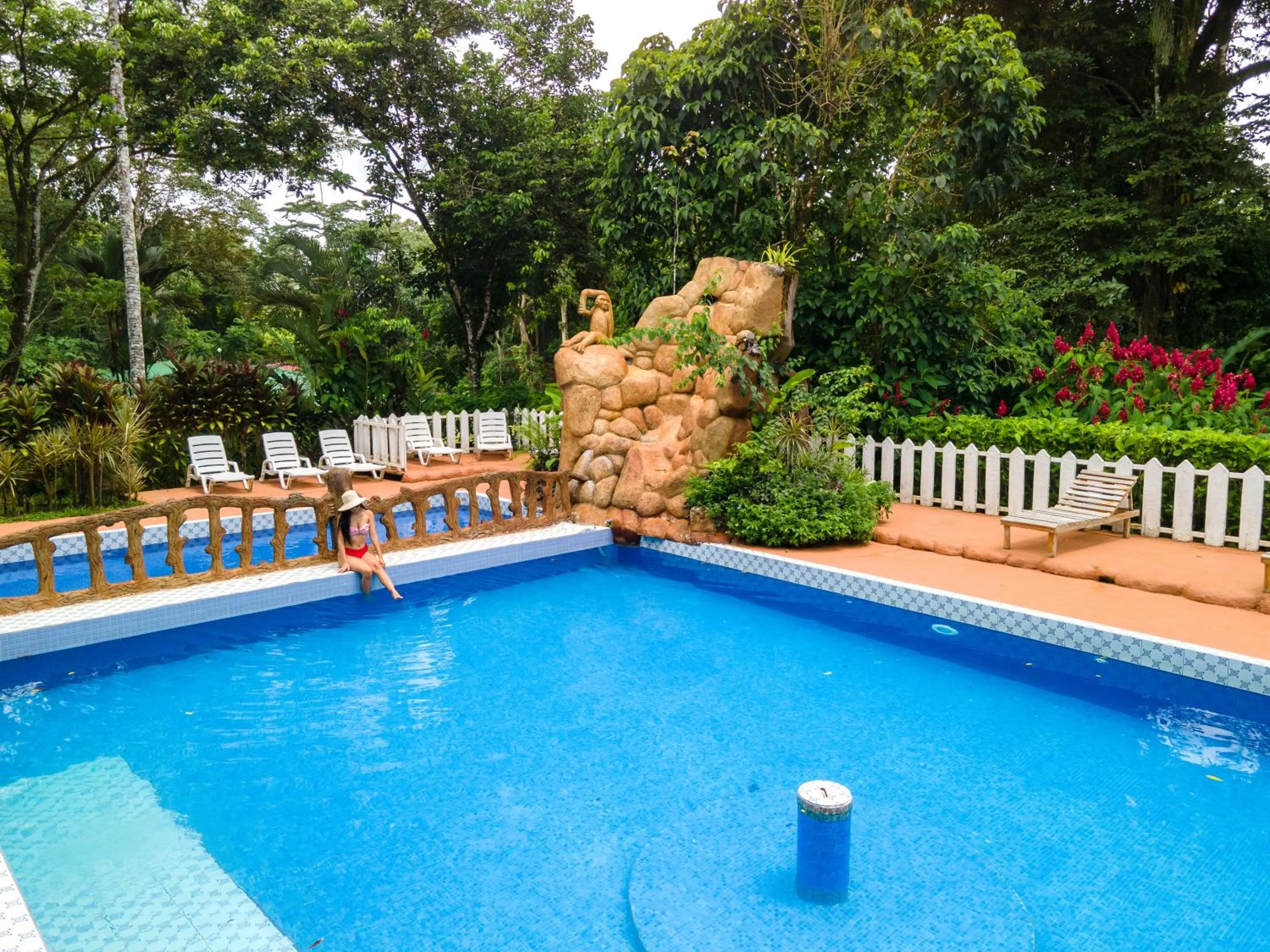 Swimming pool in Ara Ambigua Lodge