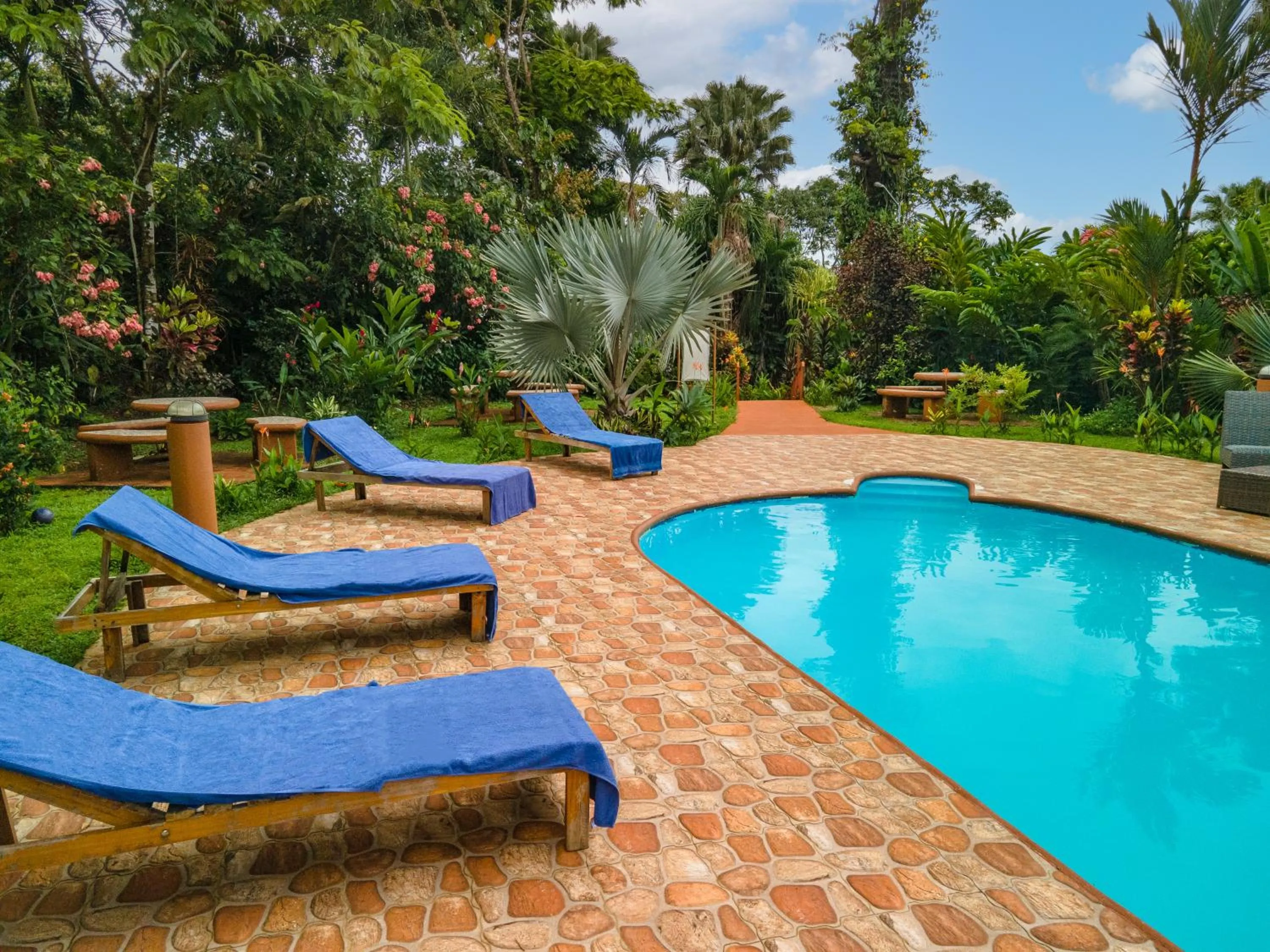 Swimming pool in Ara Ambigua Lodge