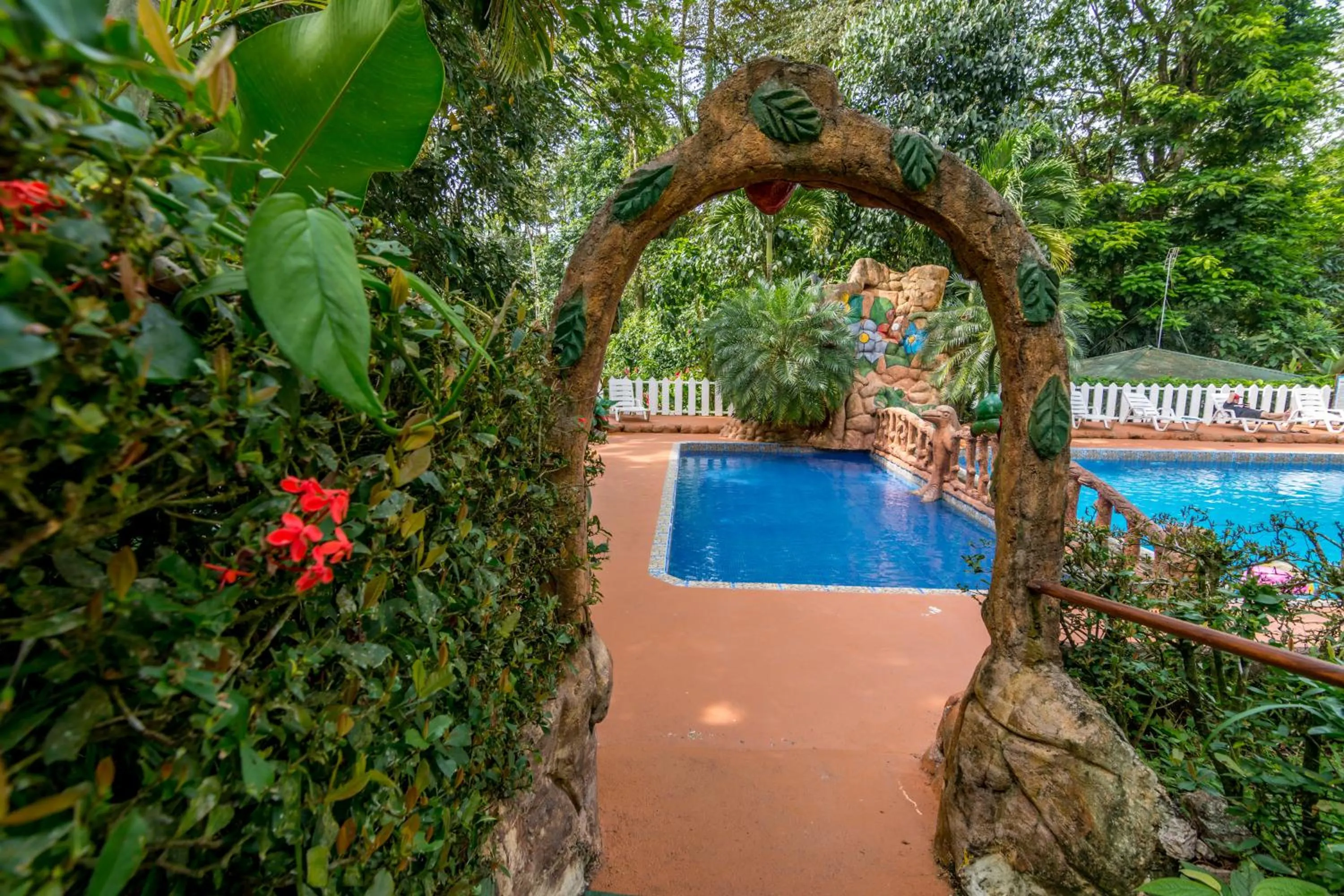 Swimming pool in Ara Ambigua Lodge