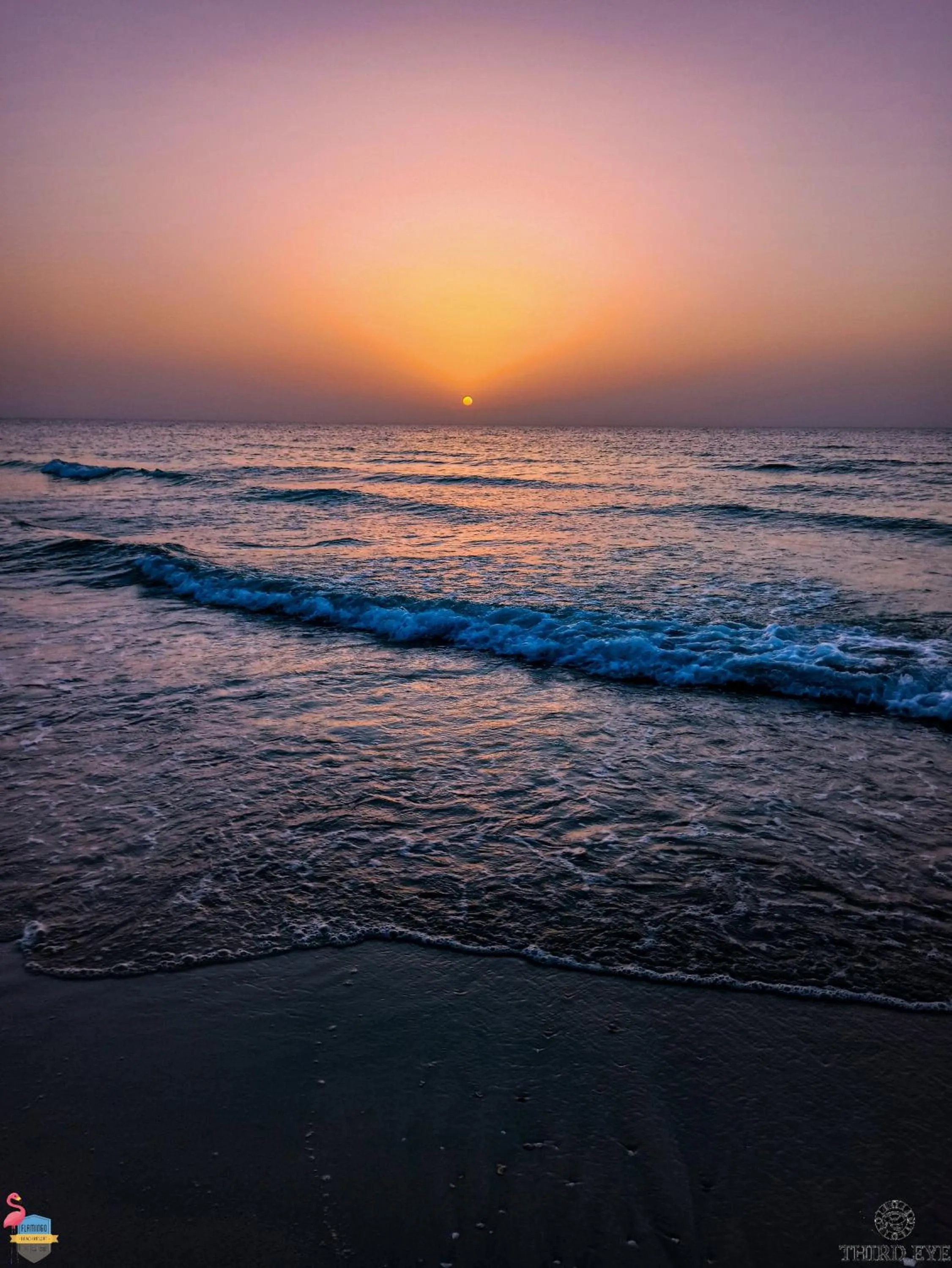 Property building in Flamingo Beach Hotel