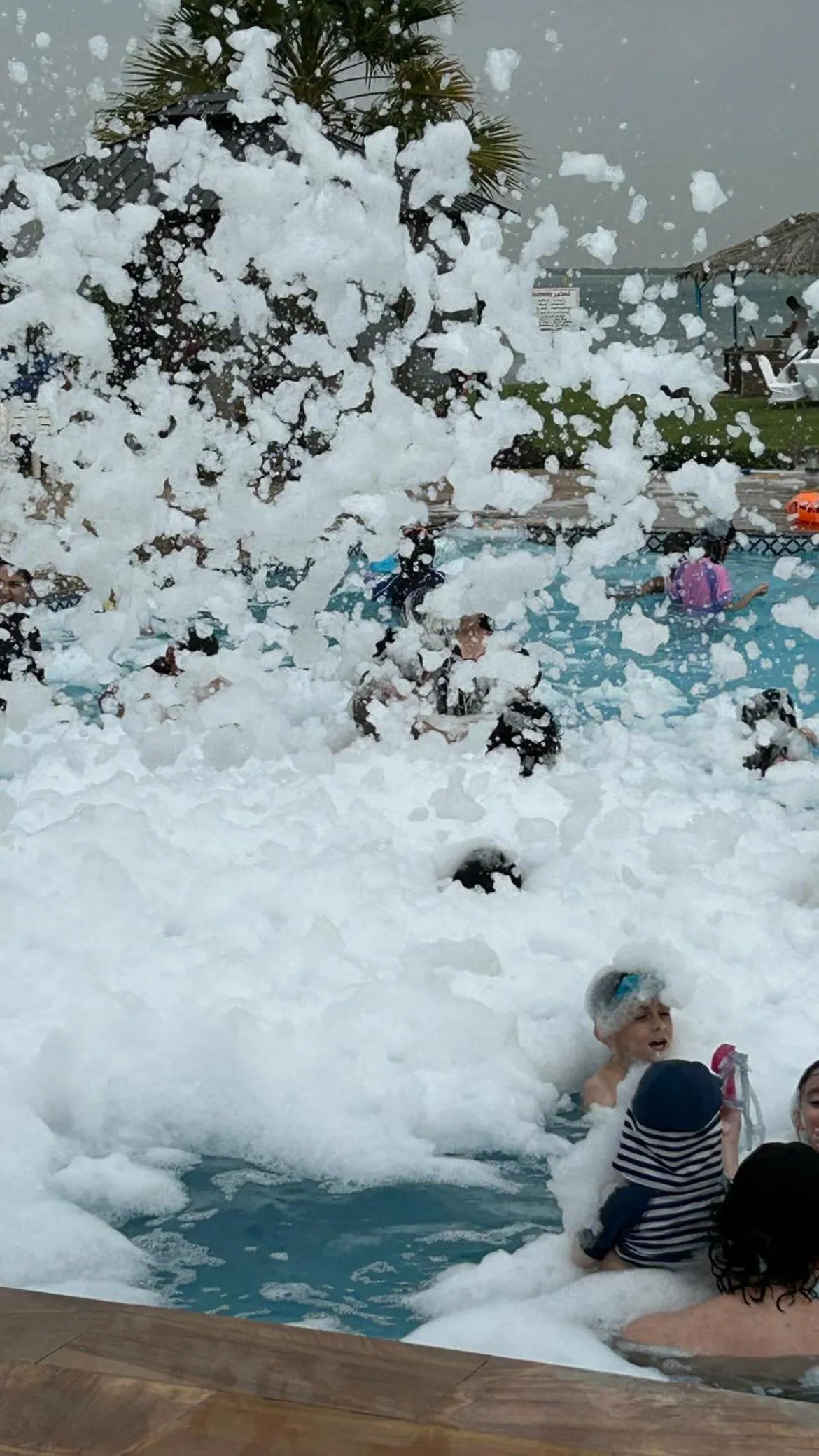 Deluxe King Room in Flamingo Beach Hotel