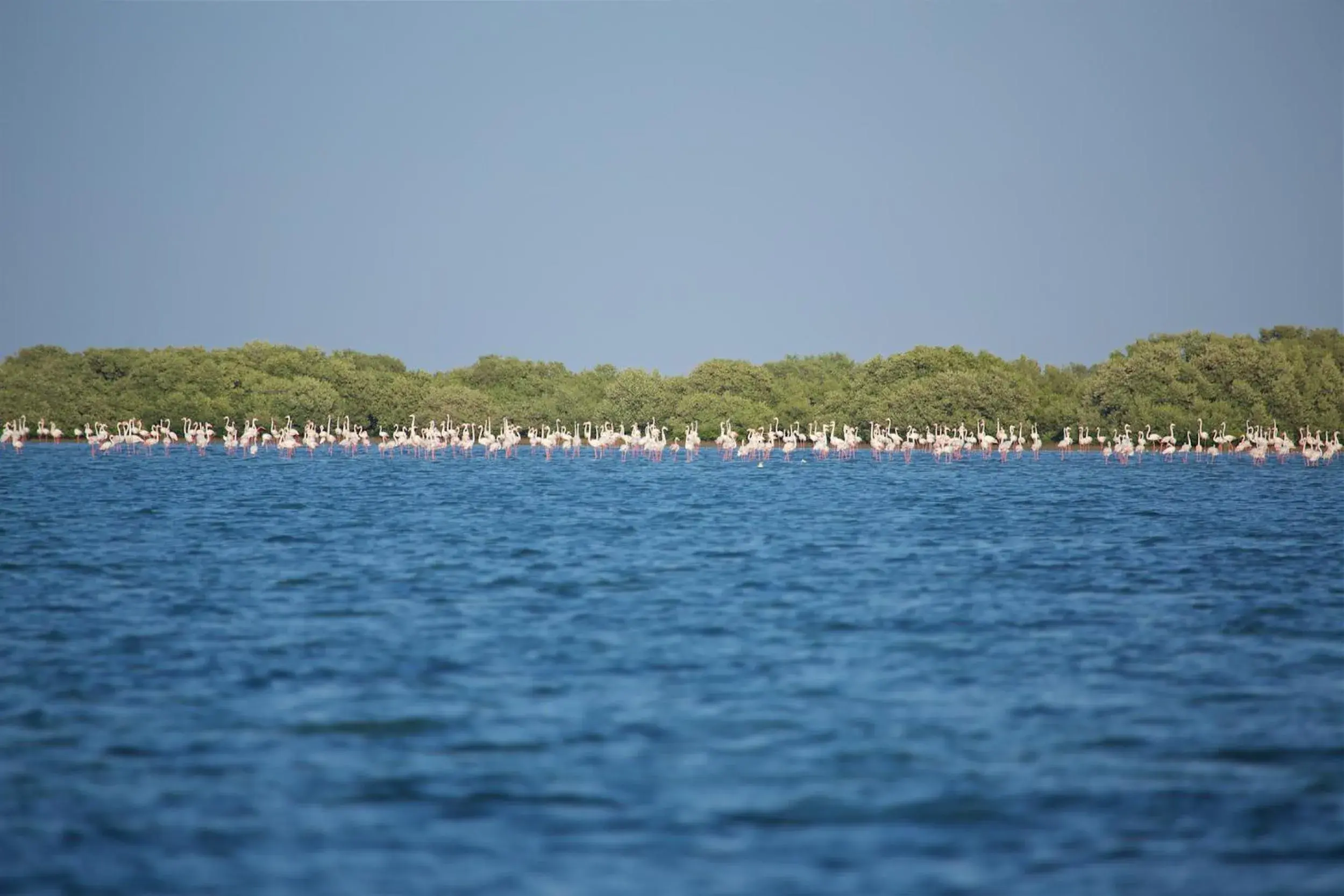 Sea view in Flamingo Beach Hotel Sea view in Flamingo Beach Hotel