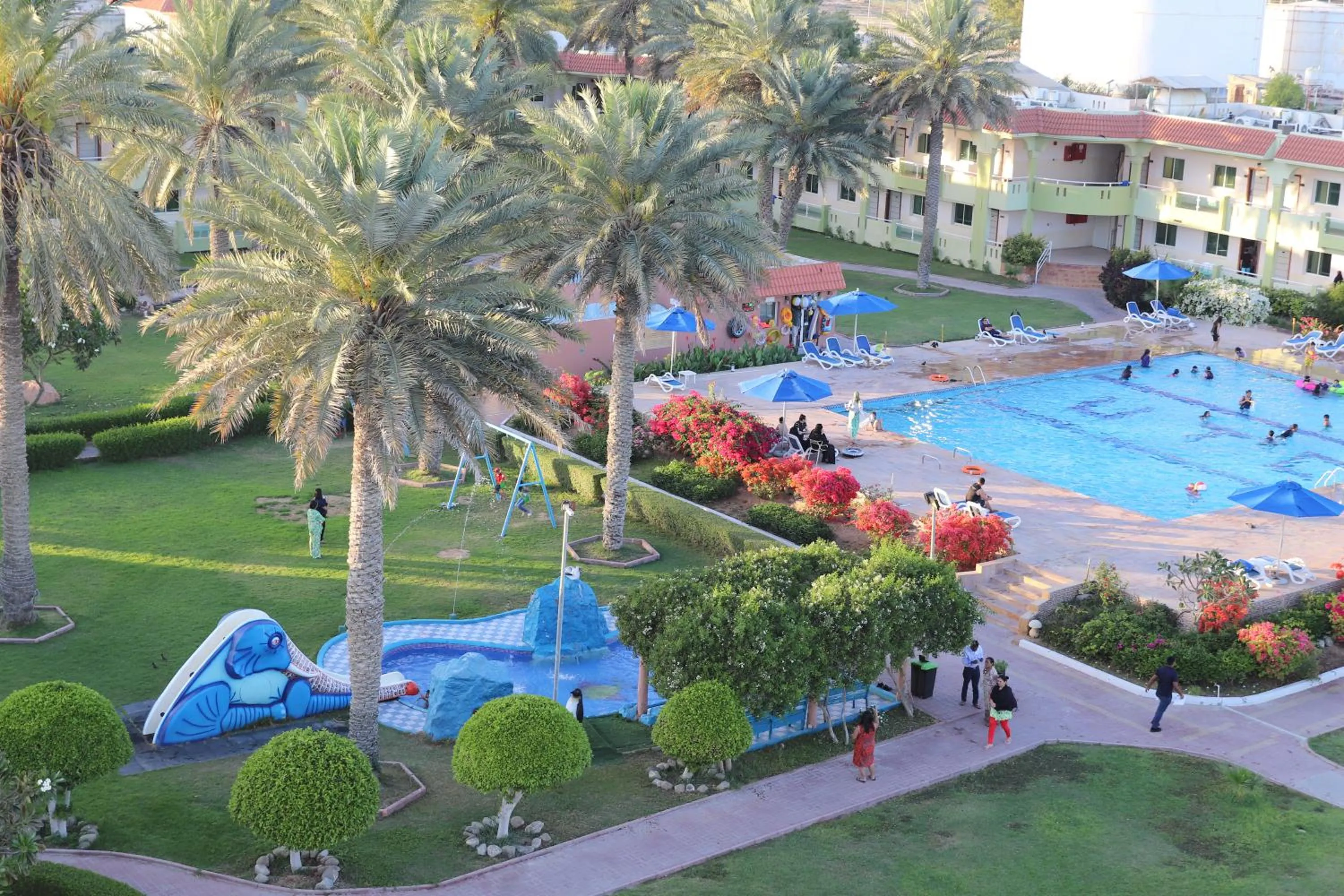 Swimming pool in Flamingo Beach Hotel