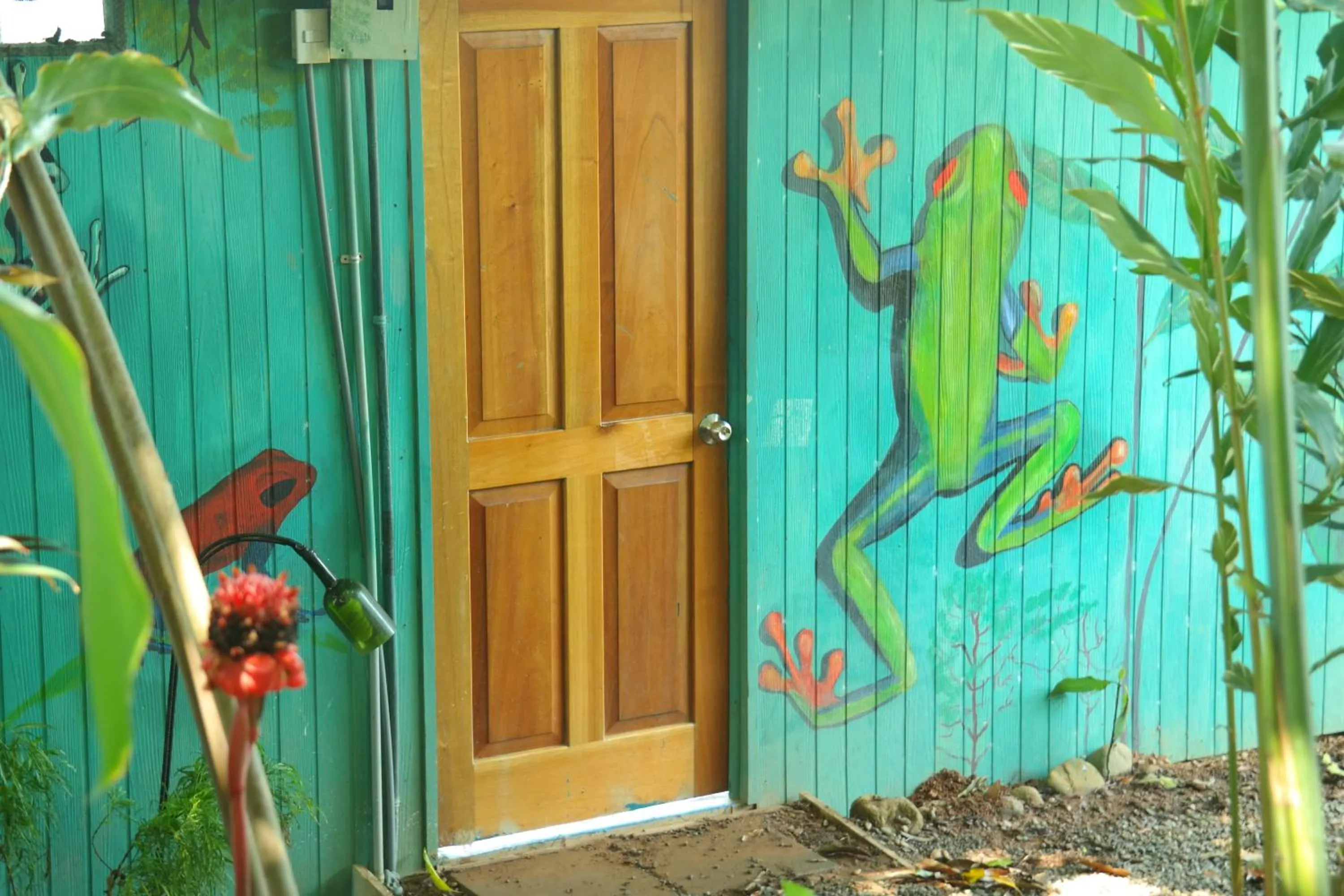 Photo of the whole room in Ranchos Remo Lodge