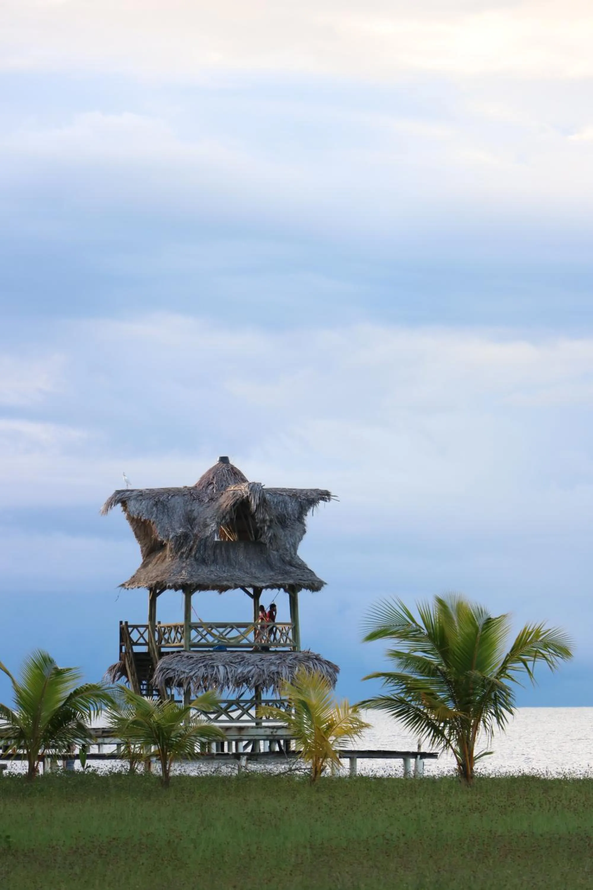 Hotel Salvador Gaviota