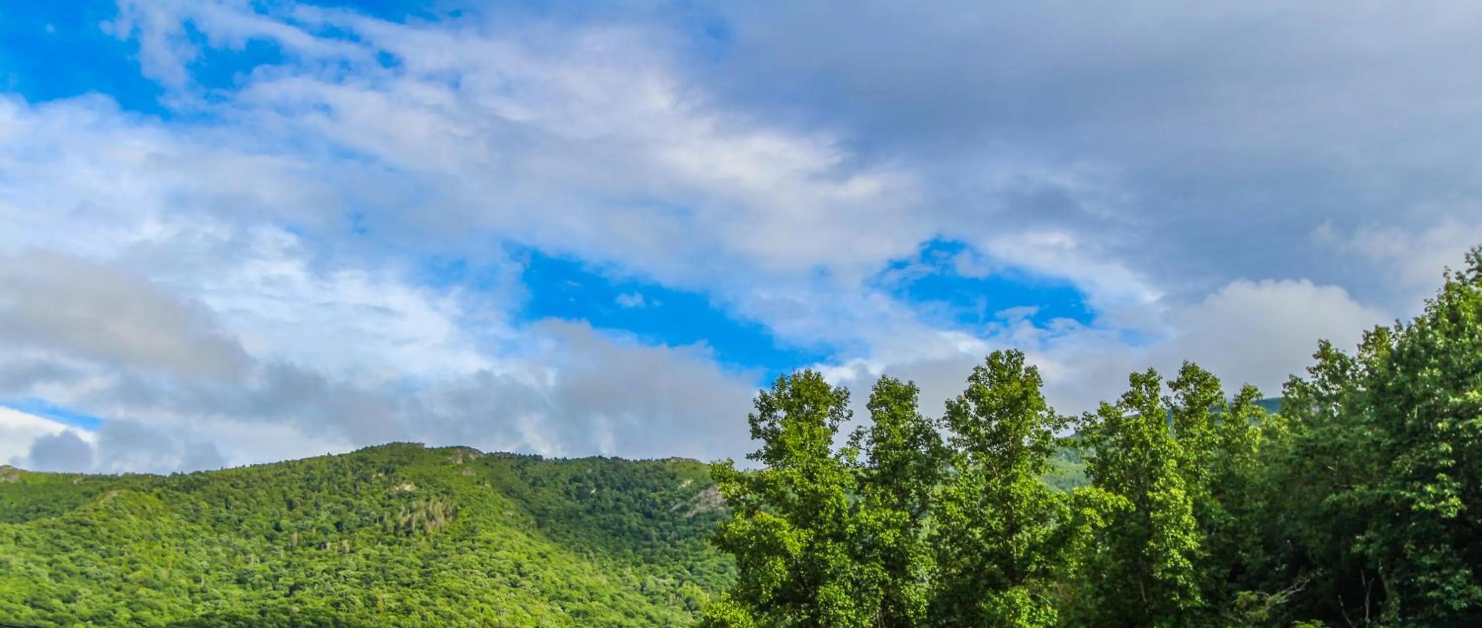 Natural landscape in Smoketree Lodge