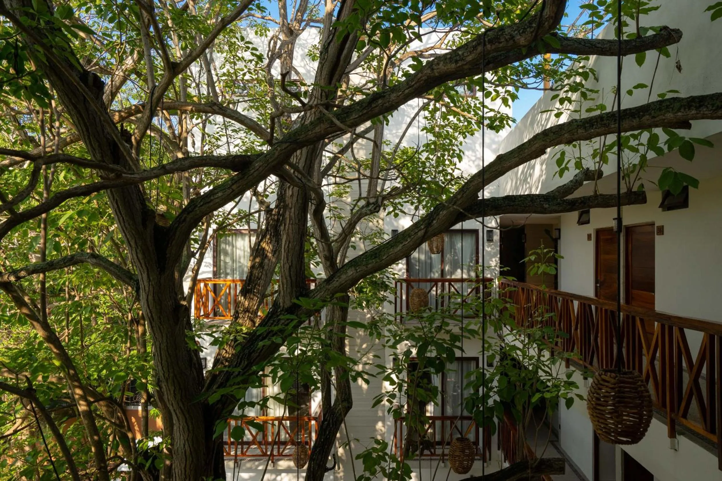 Property building in Ciyé Hotel