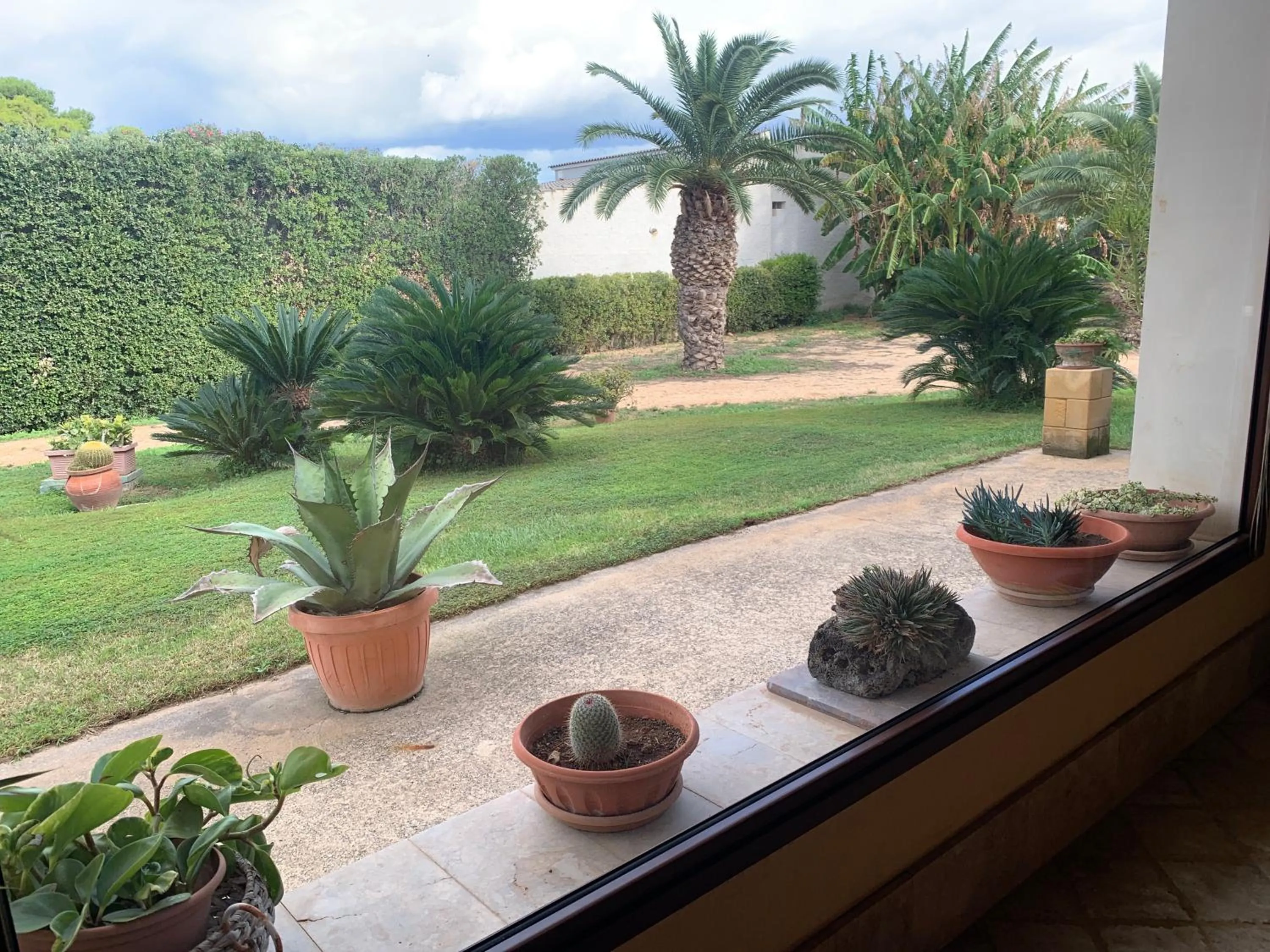 Garden view in Villa i Dammusi