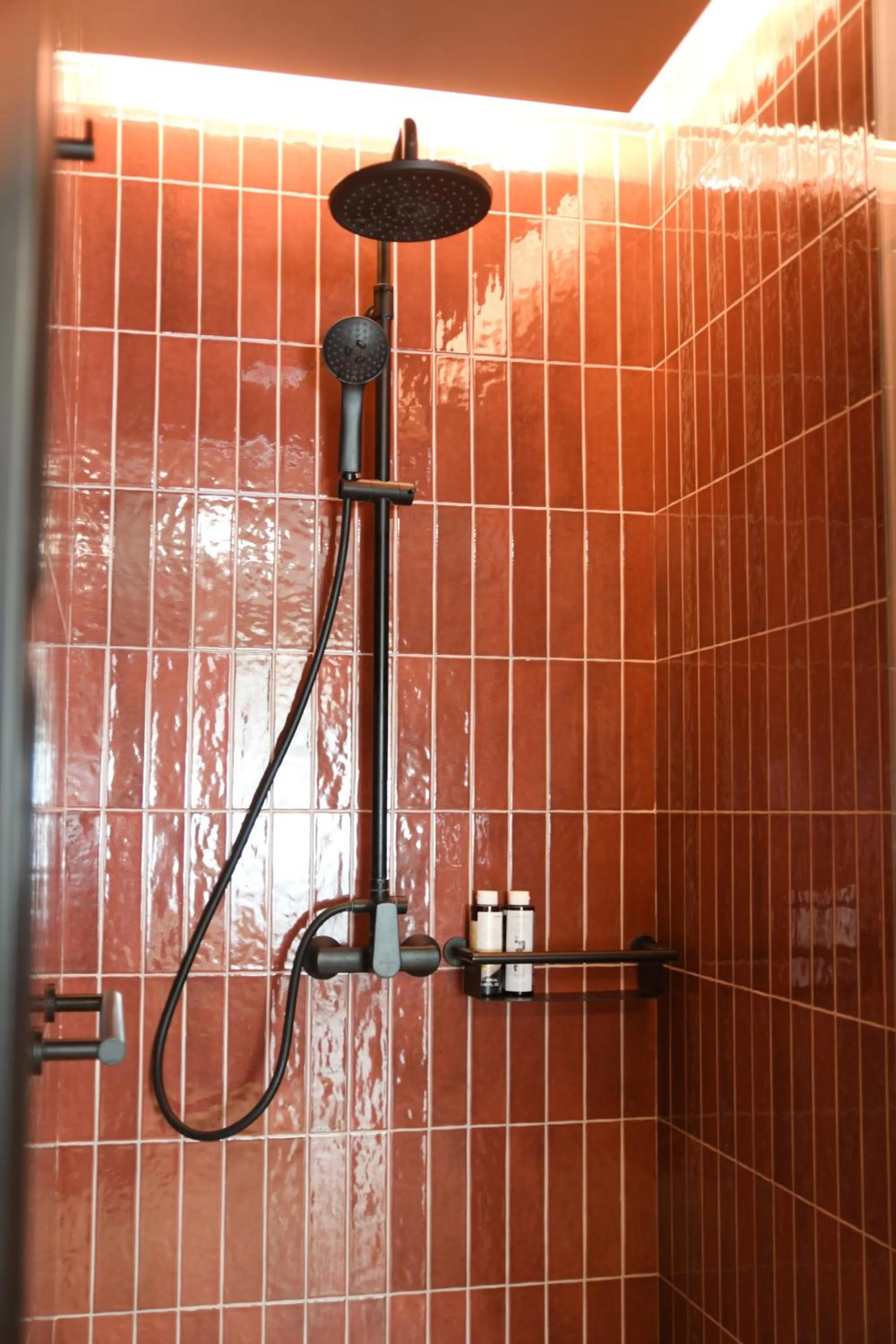 Shower in Pavo Art Hotel