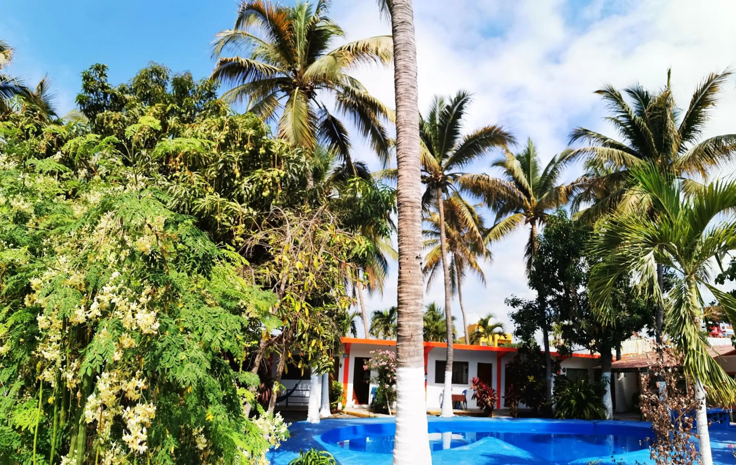 Natural landscape in Hotel Oasis Melaque