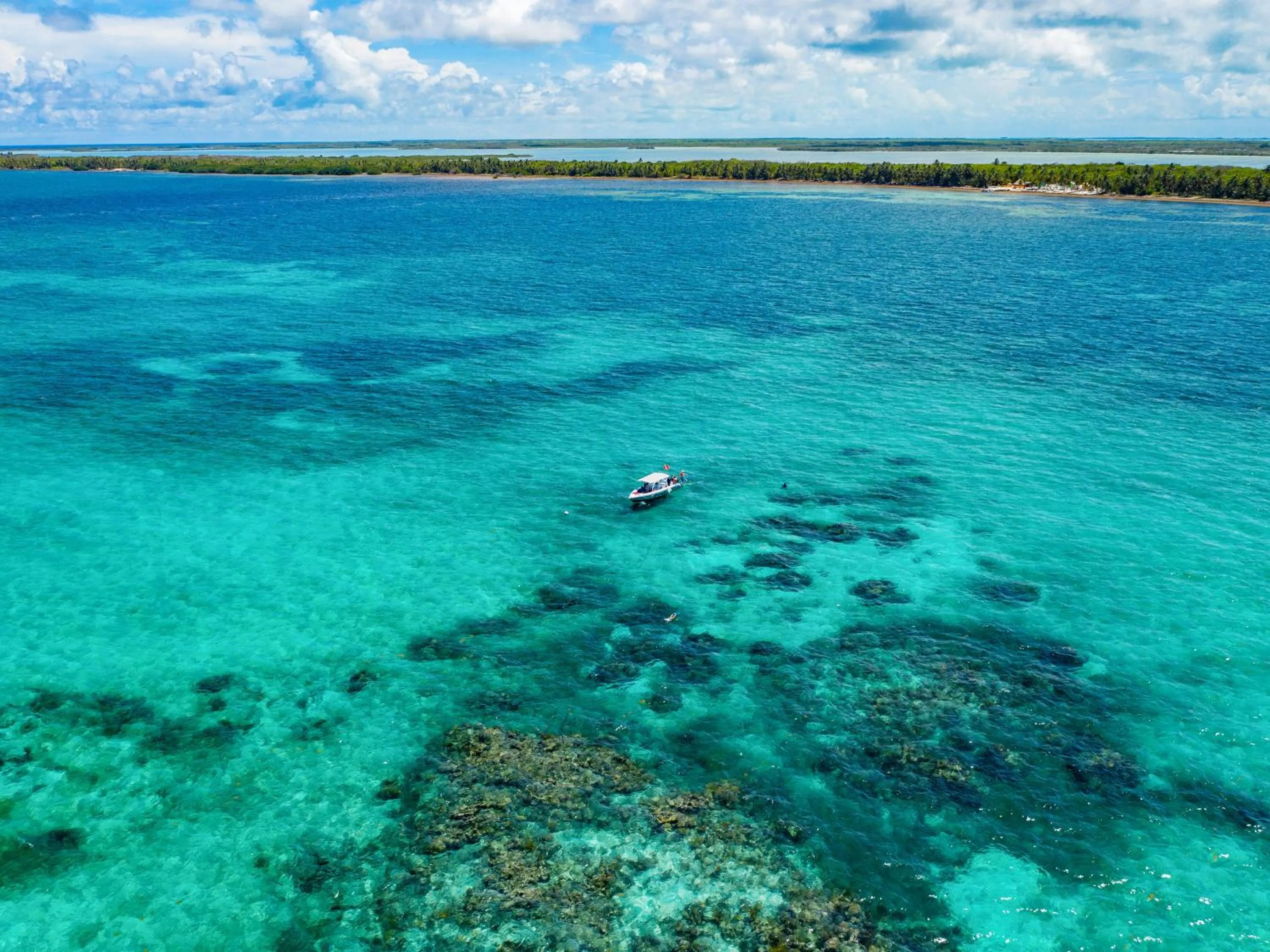 Day in Orchid Bay Resort