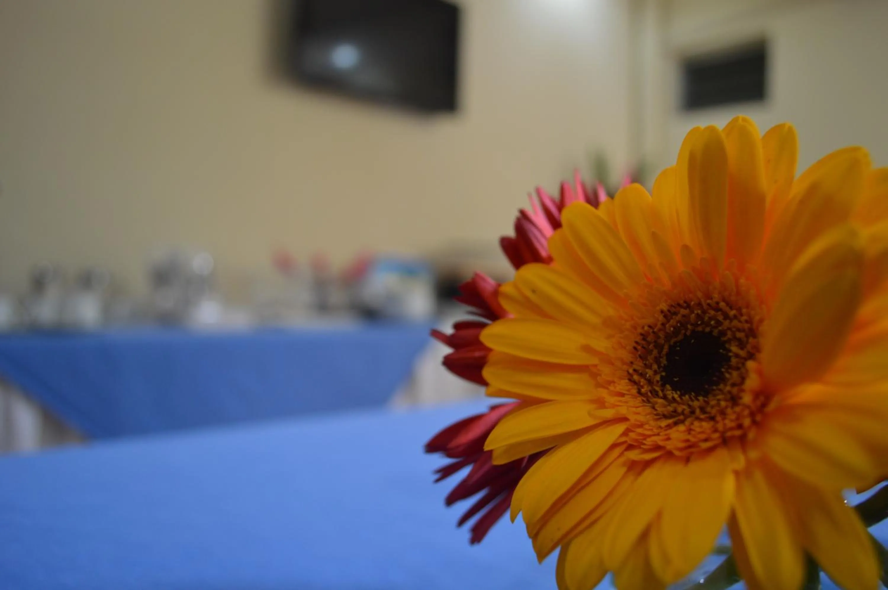 Decorative detail in Hotel Verona