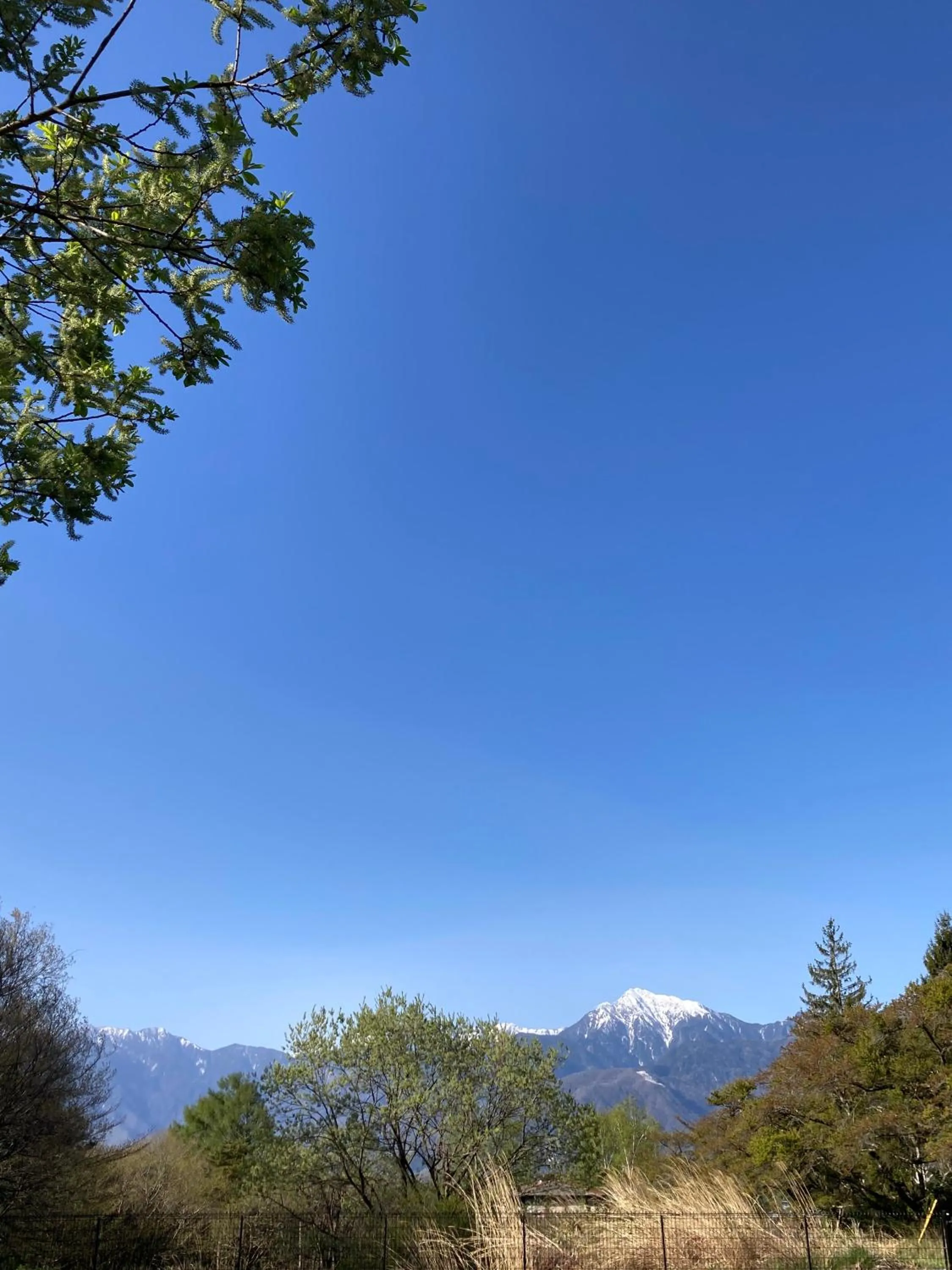 Natural landscape in Yatsugatake Cottage