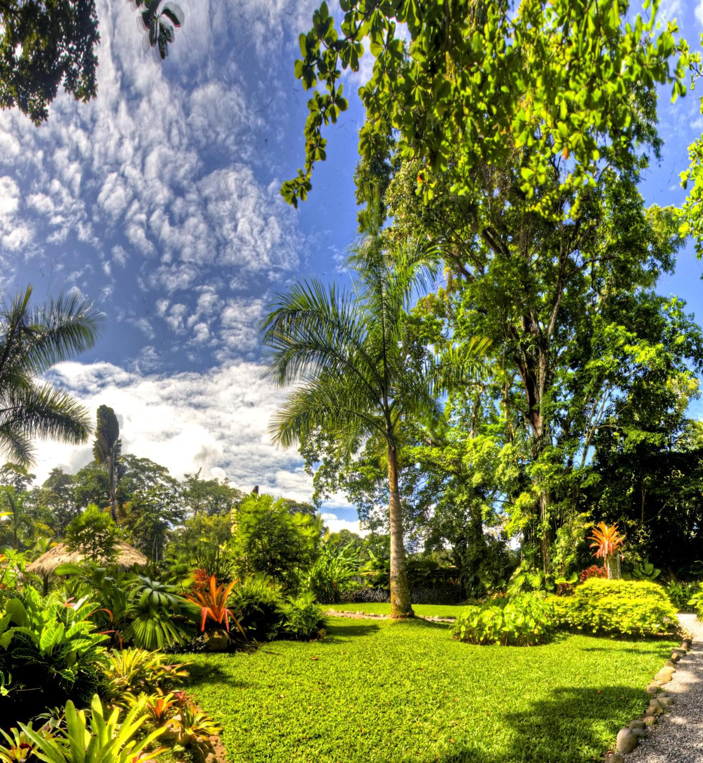Garden in Hotel Banana Azul - Adults Only