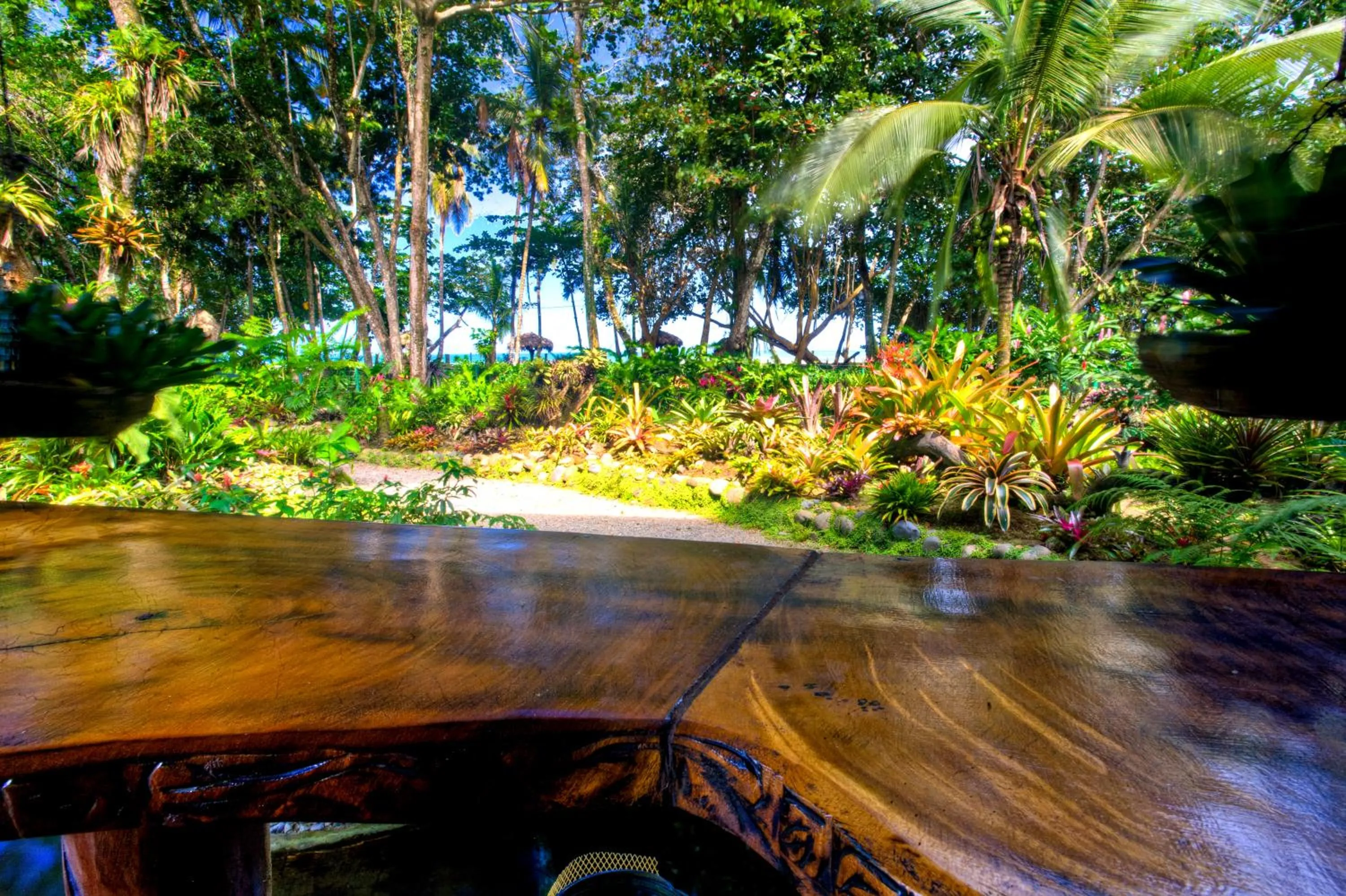 Day in Hotel Banana Azul - Adults Only