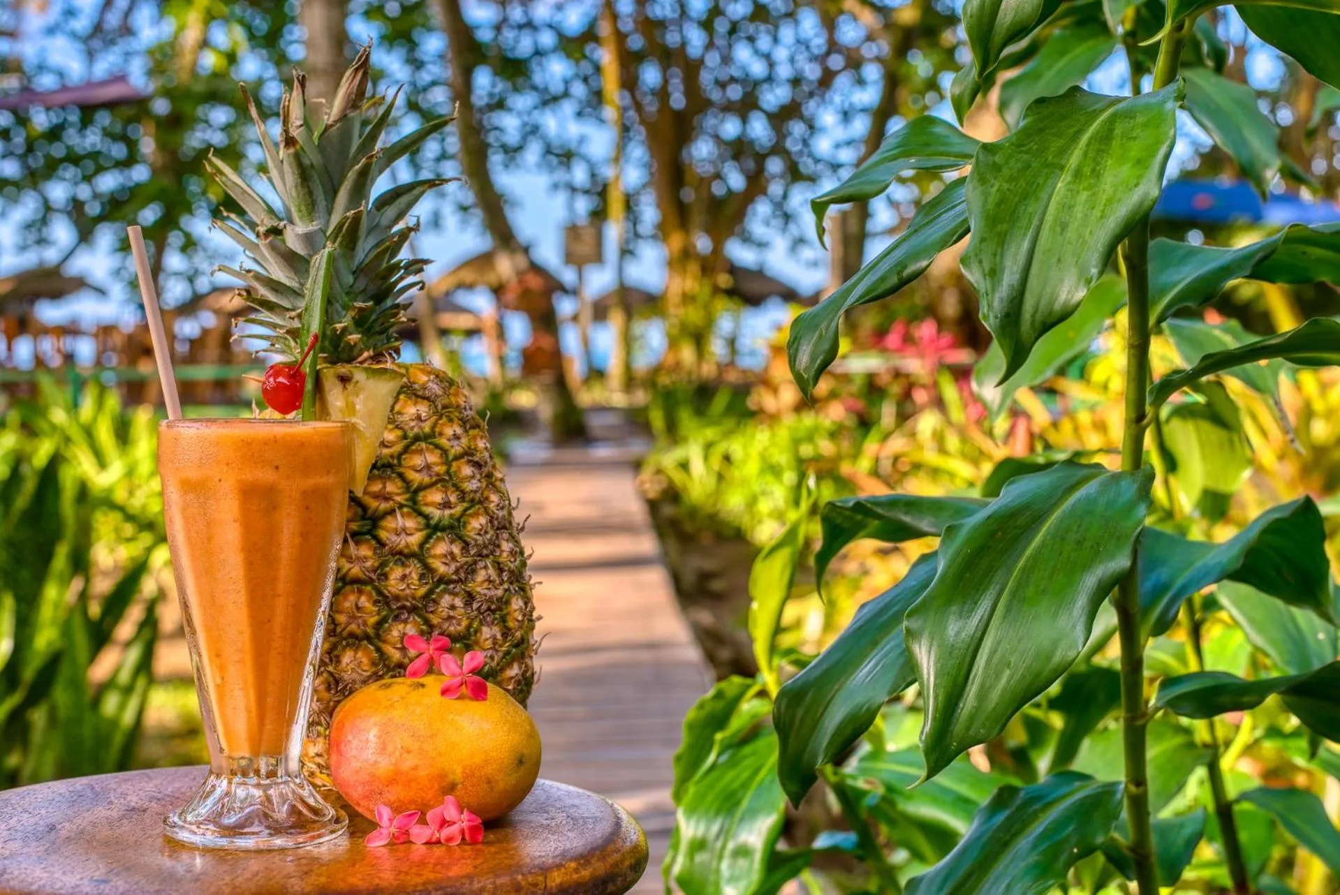 Food and drinks in Hotel Banana Azul - Adults Only