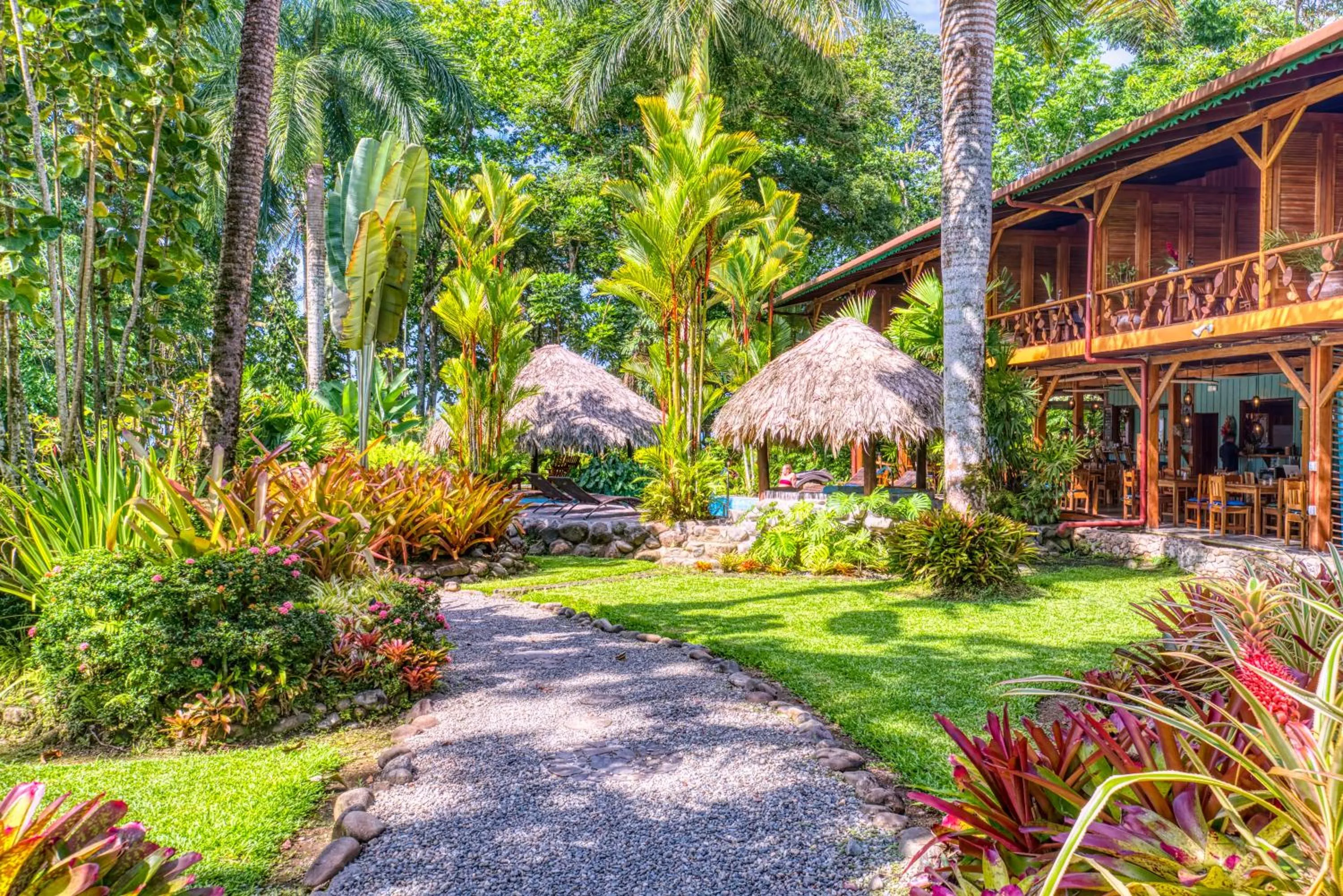 Garden in Hotel Banana Azul - Adults Only