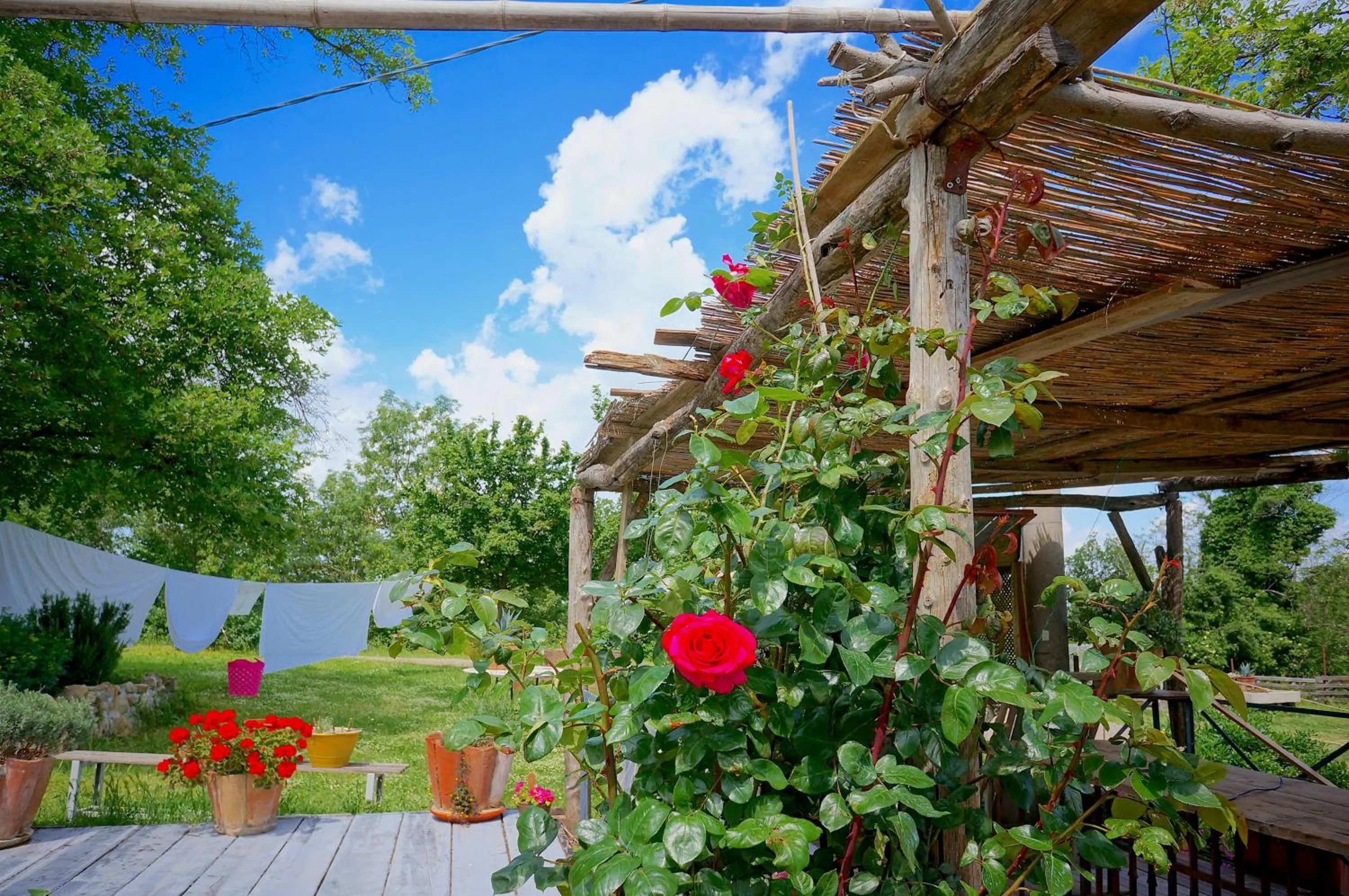 Garden in B&B Parco dei cavalli