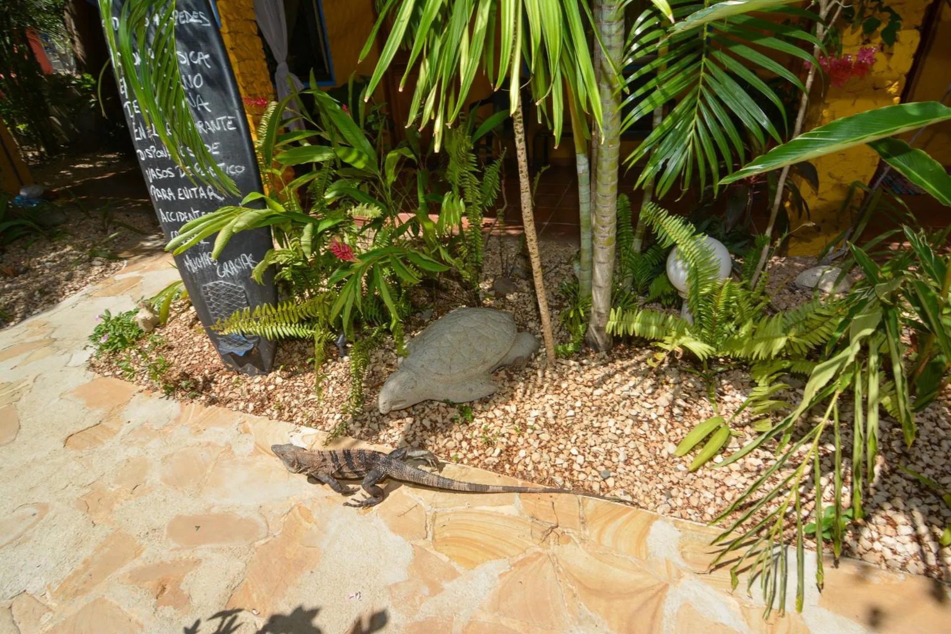 Day in Conchal Hotel