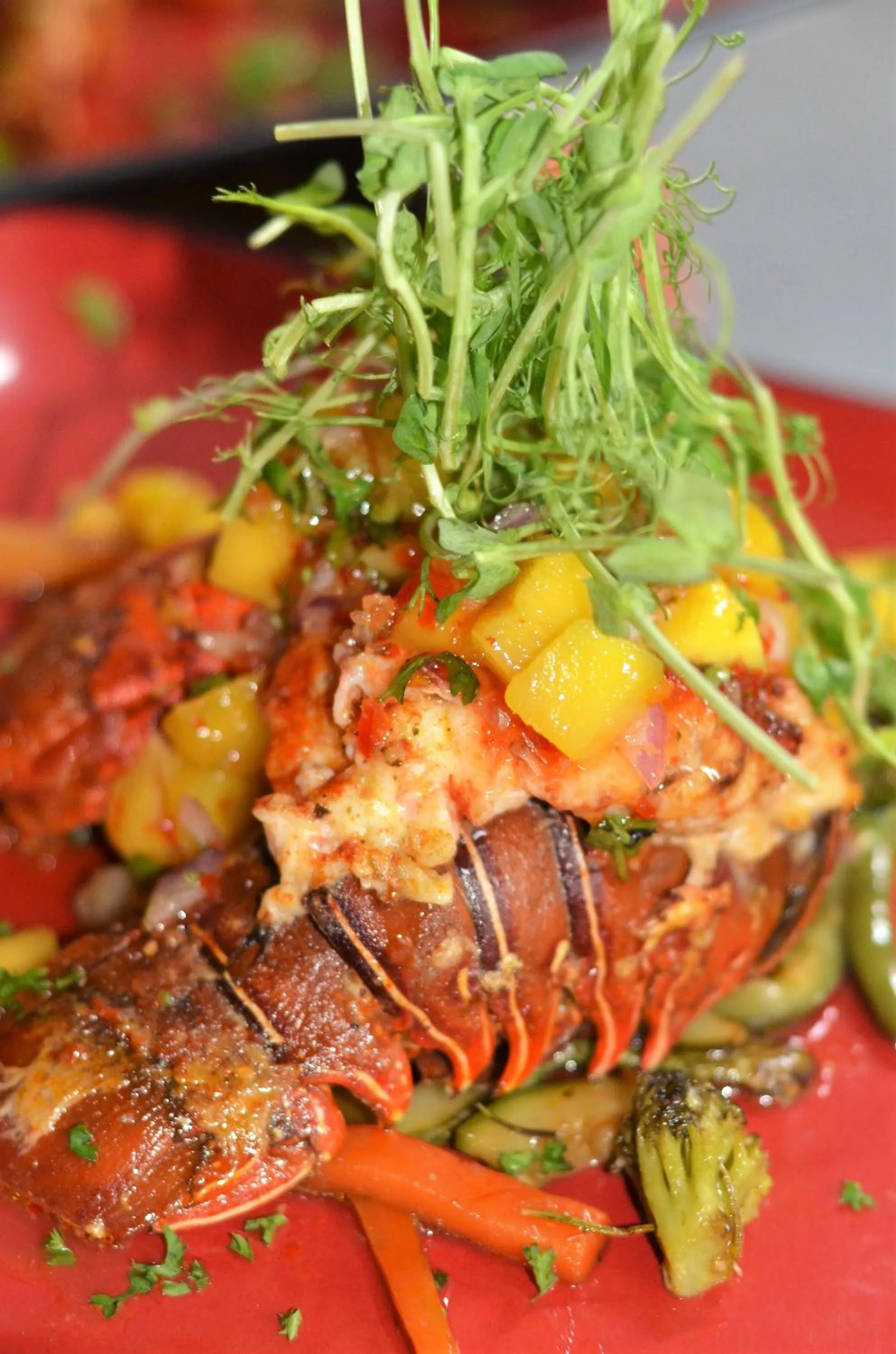 Food close-up in Conchal Hotel