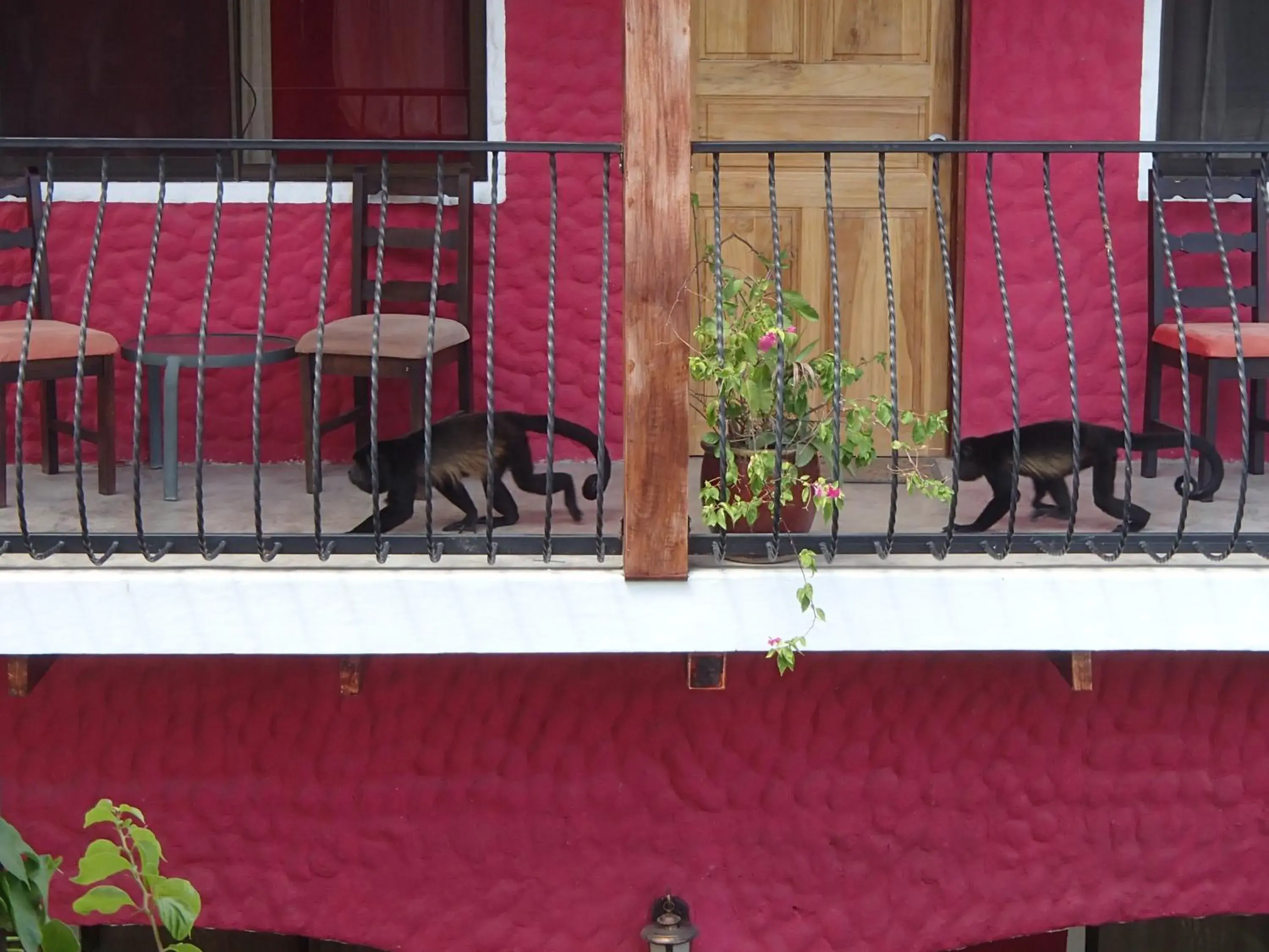 Facade/entrance in Conchal Hotel Facade/entrance in Conchal Hotel