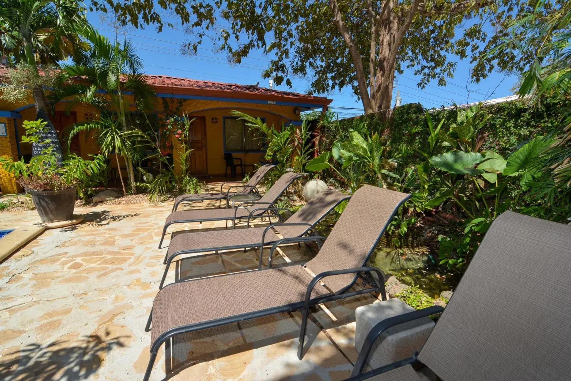 Pool view in Conchal Hotel Pool view in Conchal Hotel