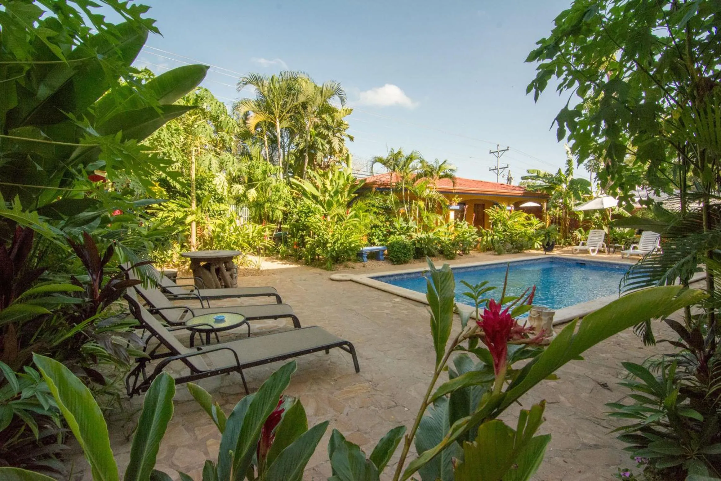 Garden in Conchal Hotel
