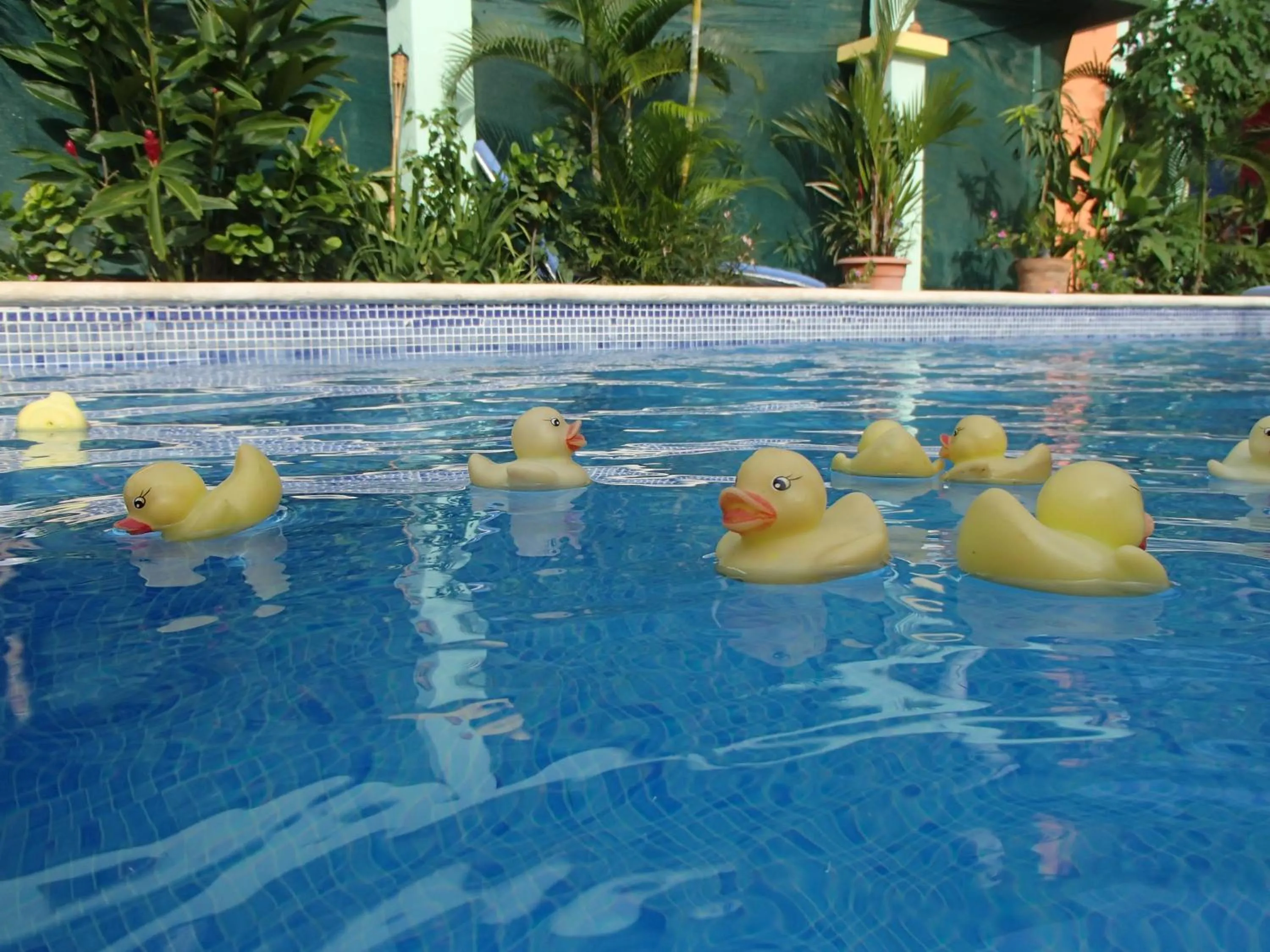 Swimming pool in Conchal Hotel