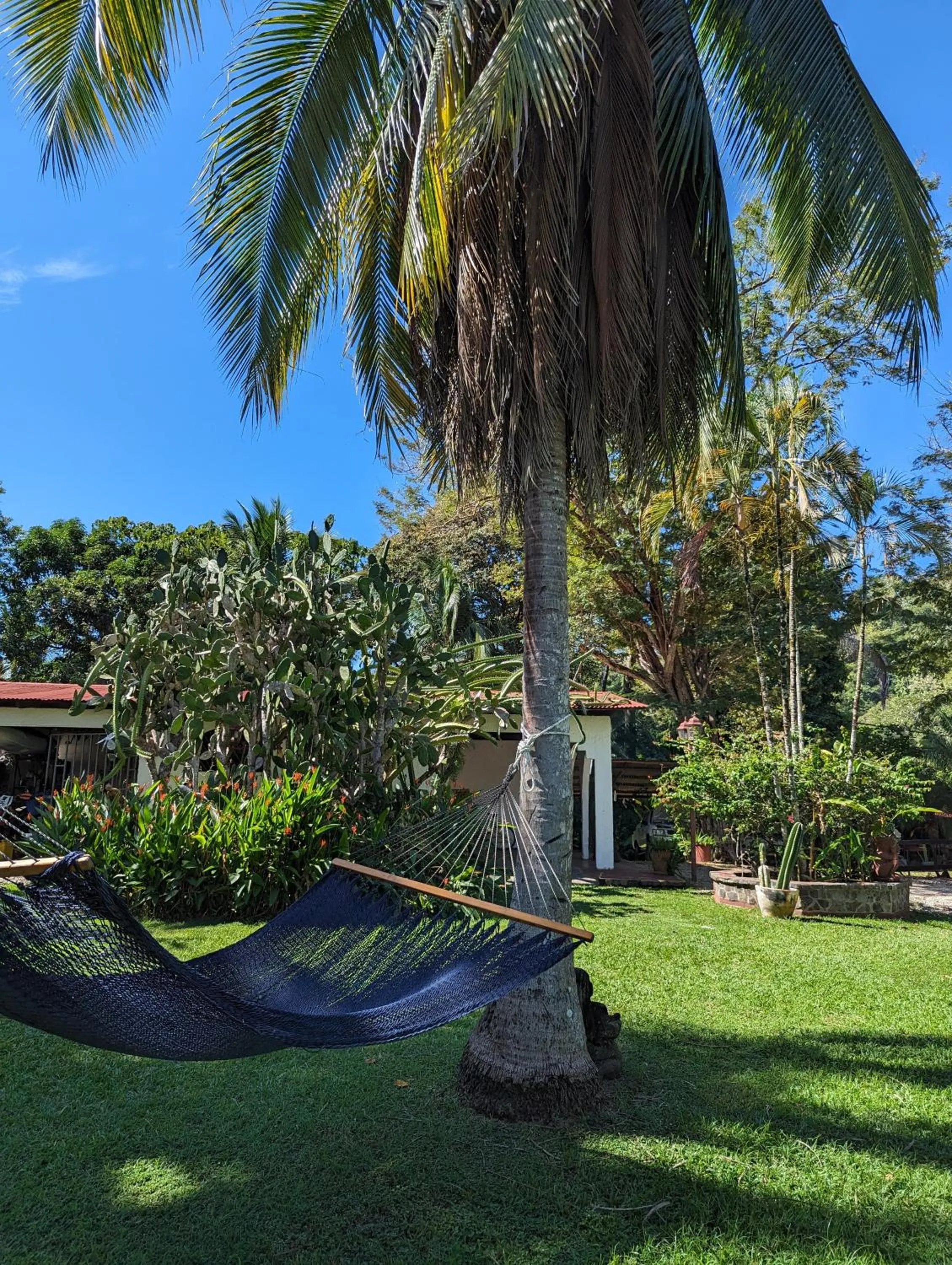 Garden in spirit of jungle lodge