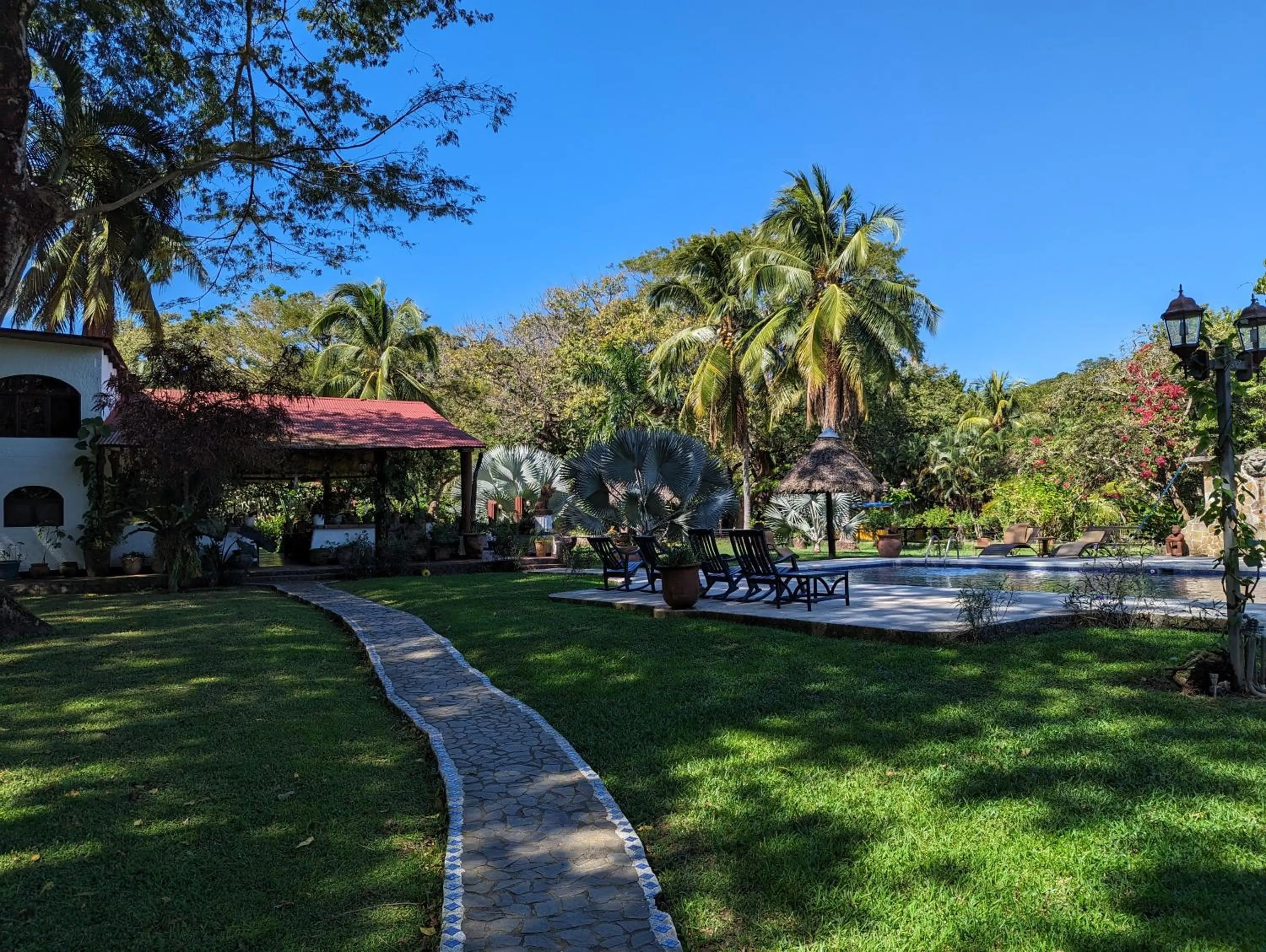 Garden in spirit of jungle lodge
