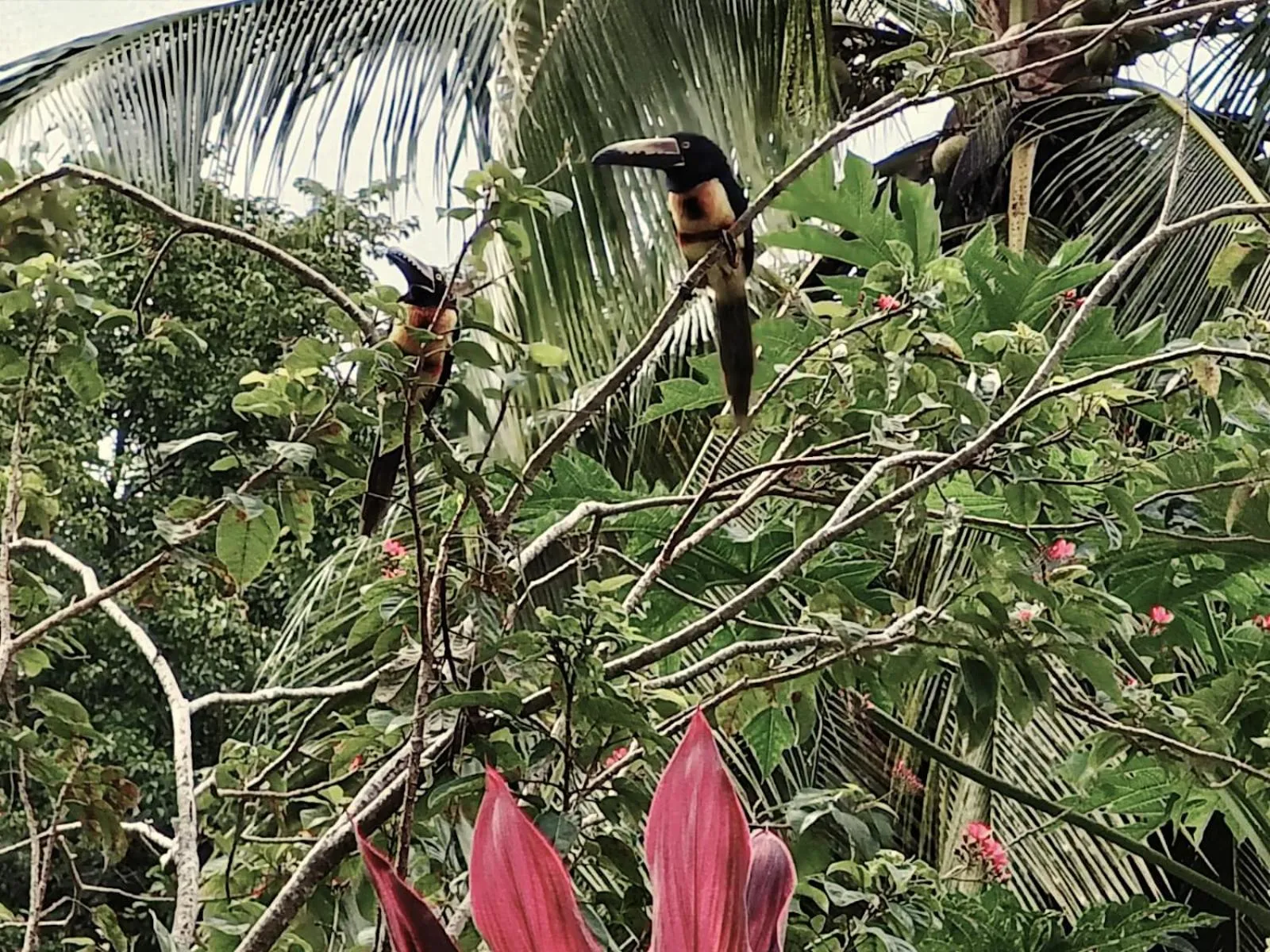 Animals in spirit of jungle lodge