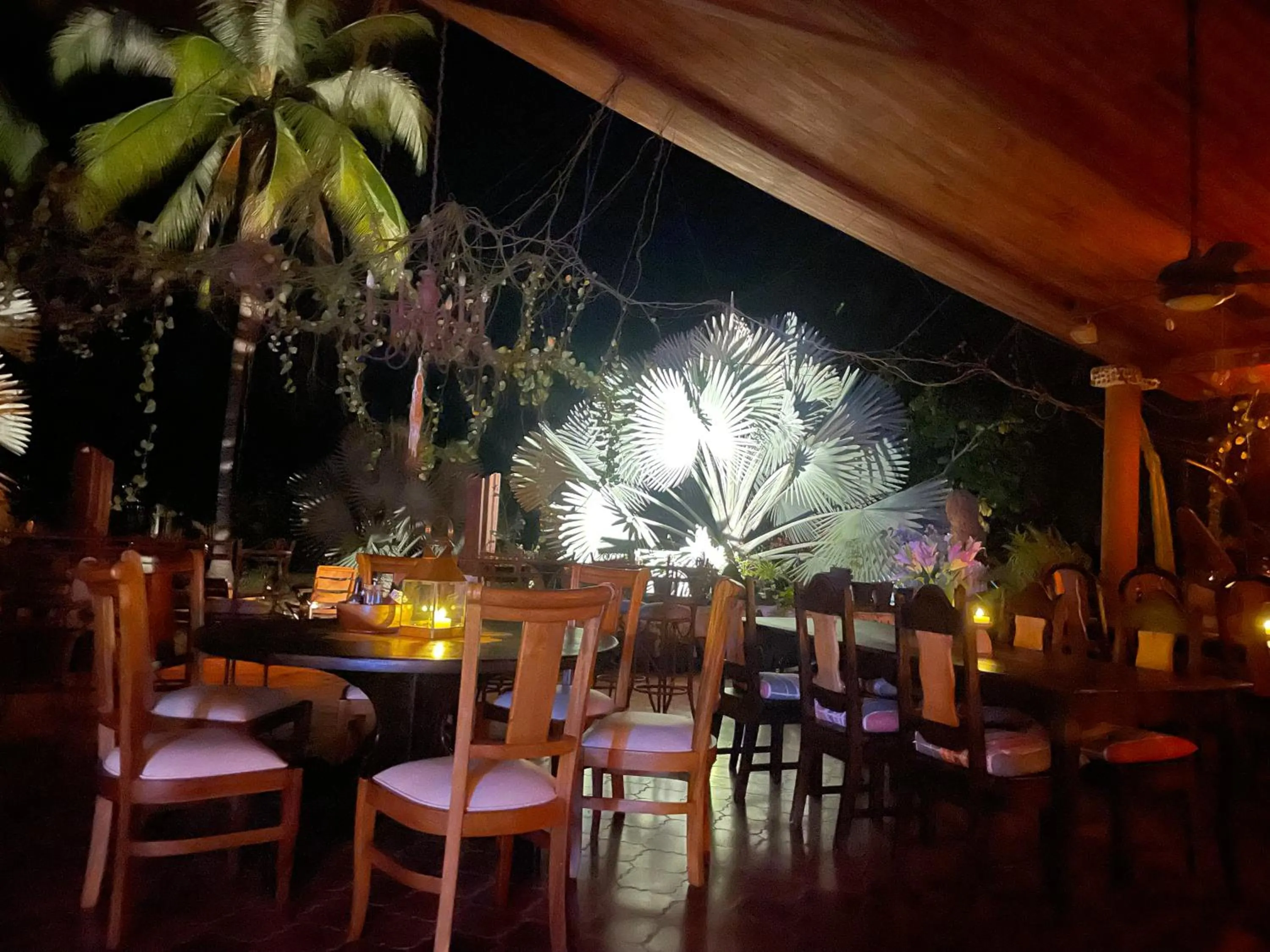 Restaurant/places to eat in spirit of jungle lodge