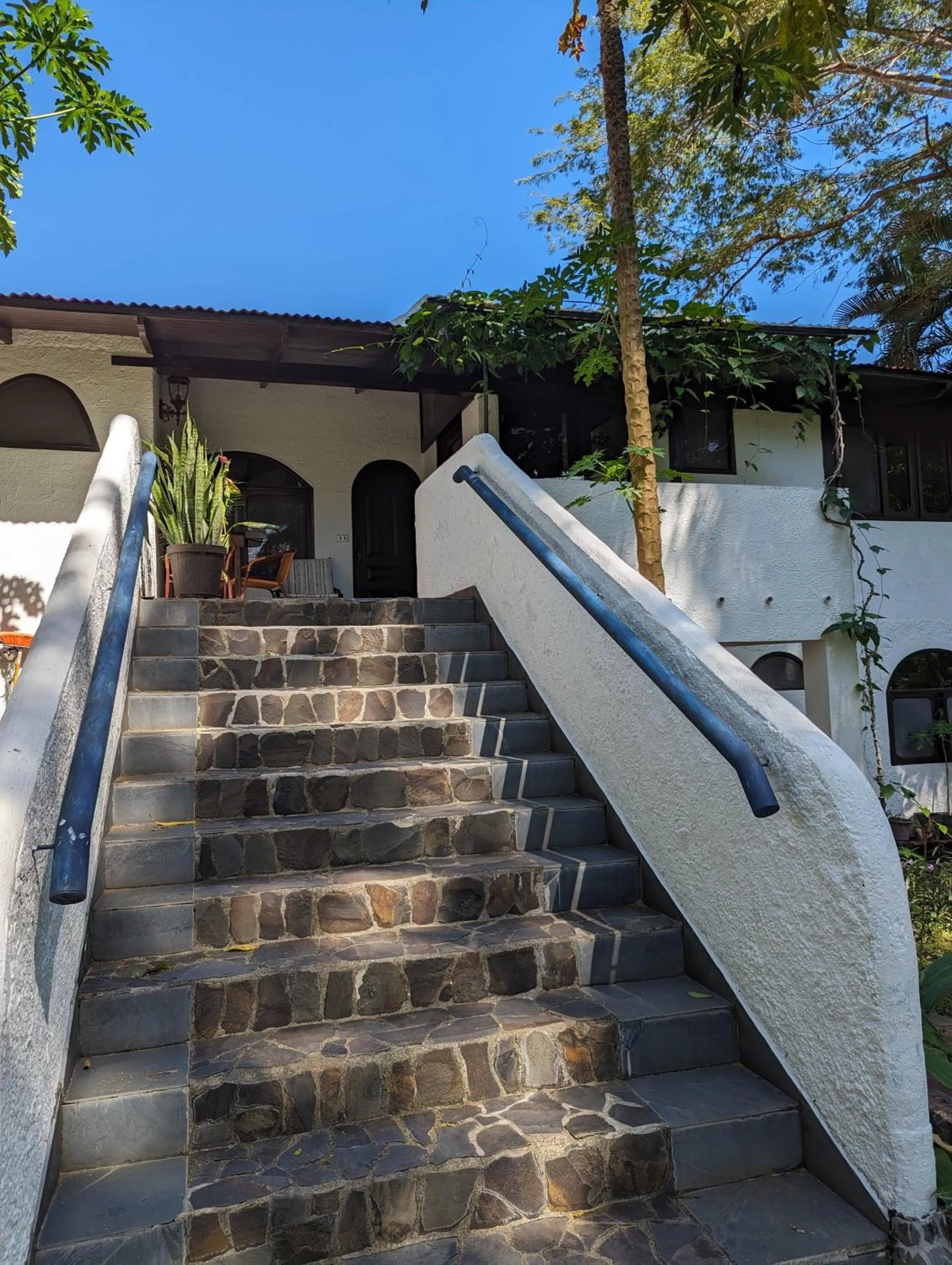 Property building in spirit of jungle lodge