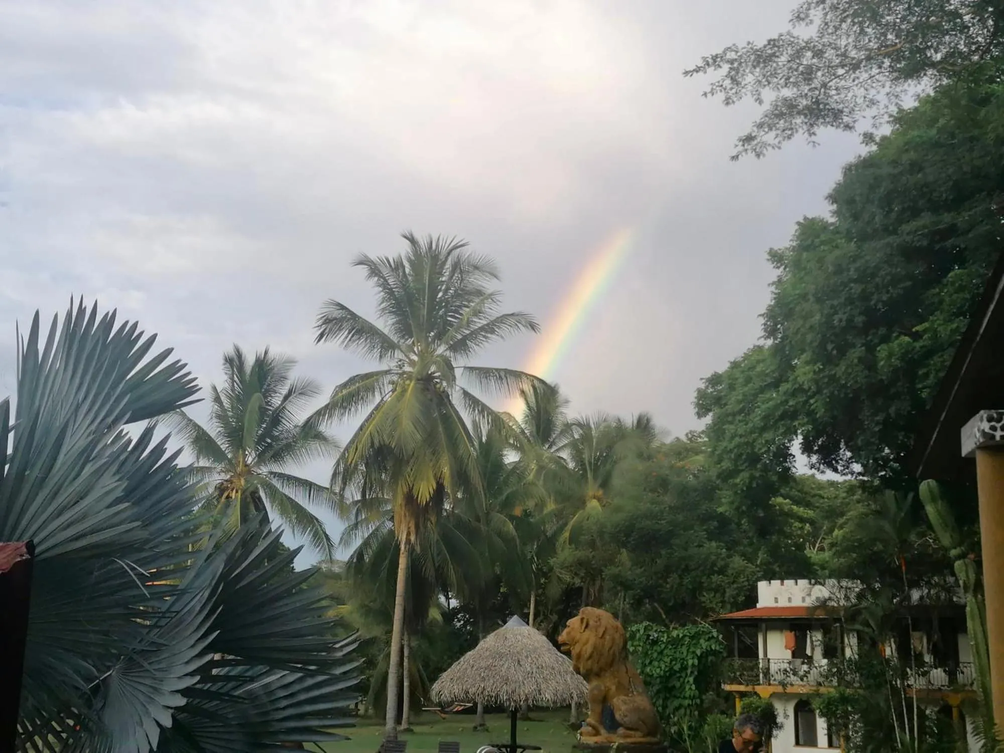 View (from property/room) in spirit of jungle lodge